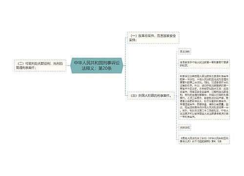 中华人民共和国刑事诉讼法释义：第20条