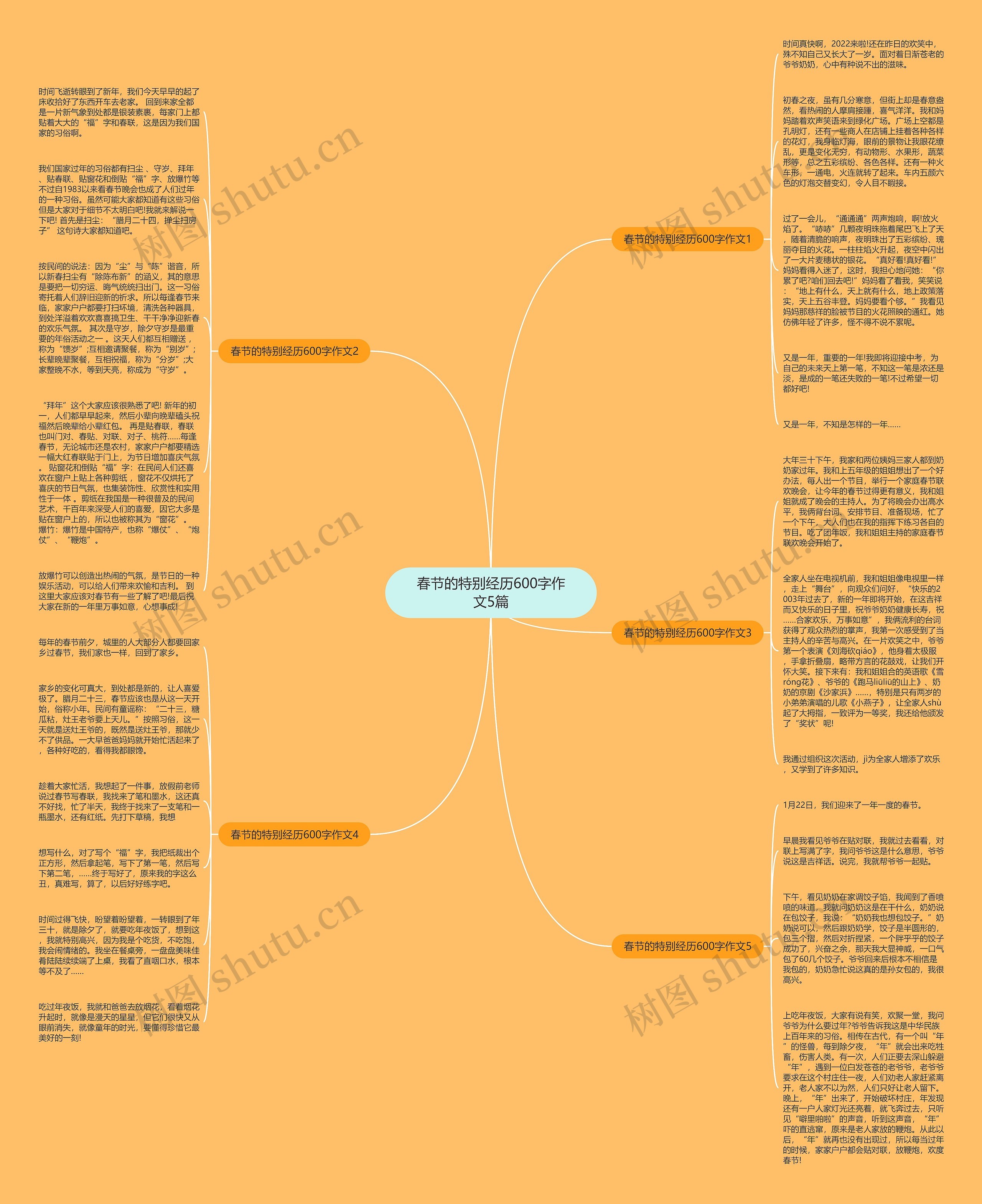 春节的特别经历600字作文5篇思维导图