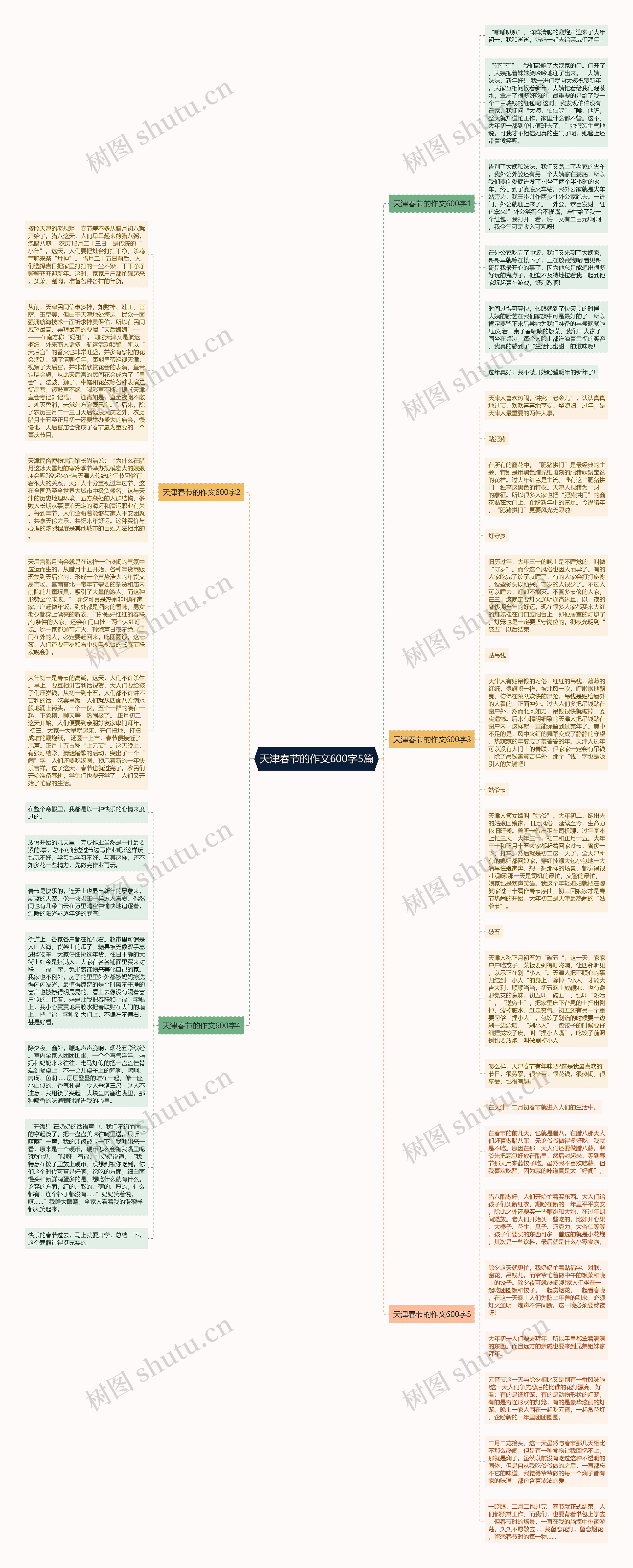 天津春节的作文600字5篇思维导图