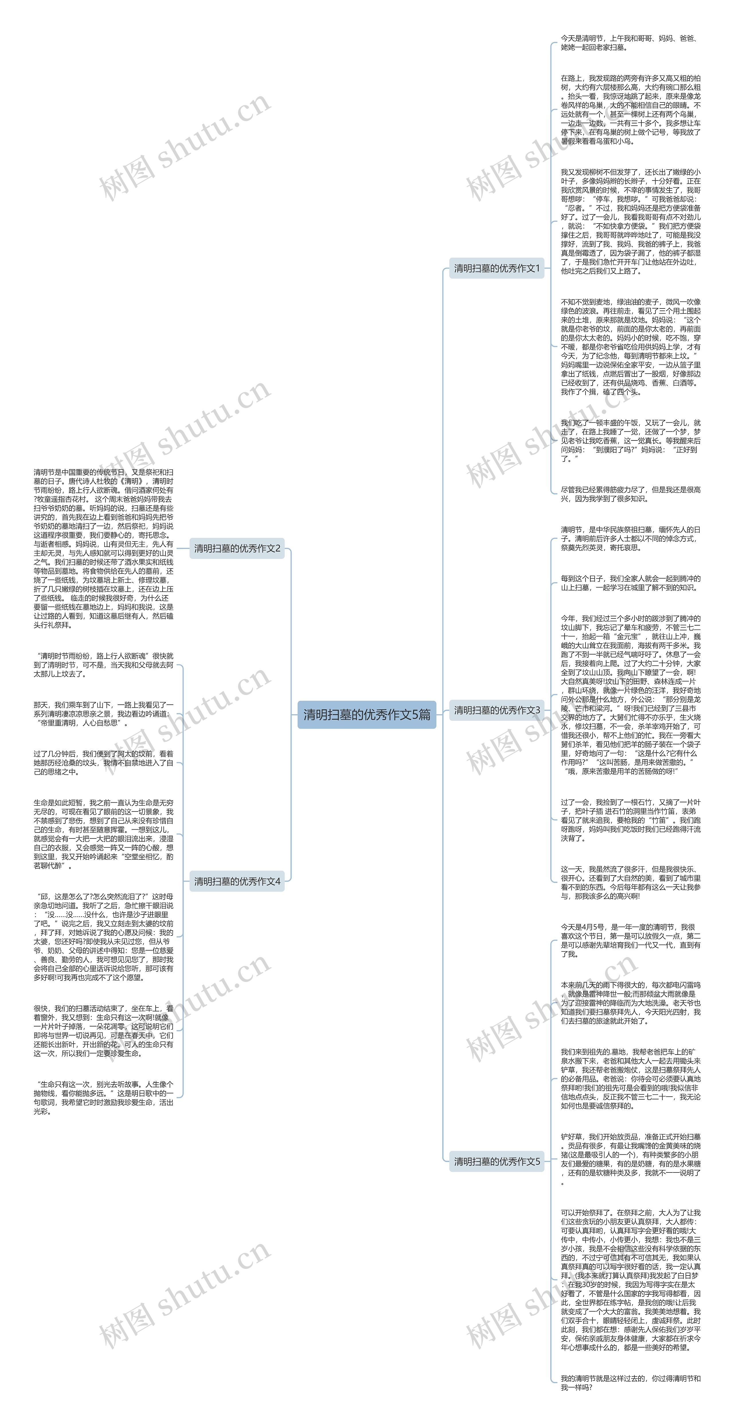 清明扫墓的优秀作文5篇思维导图