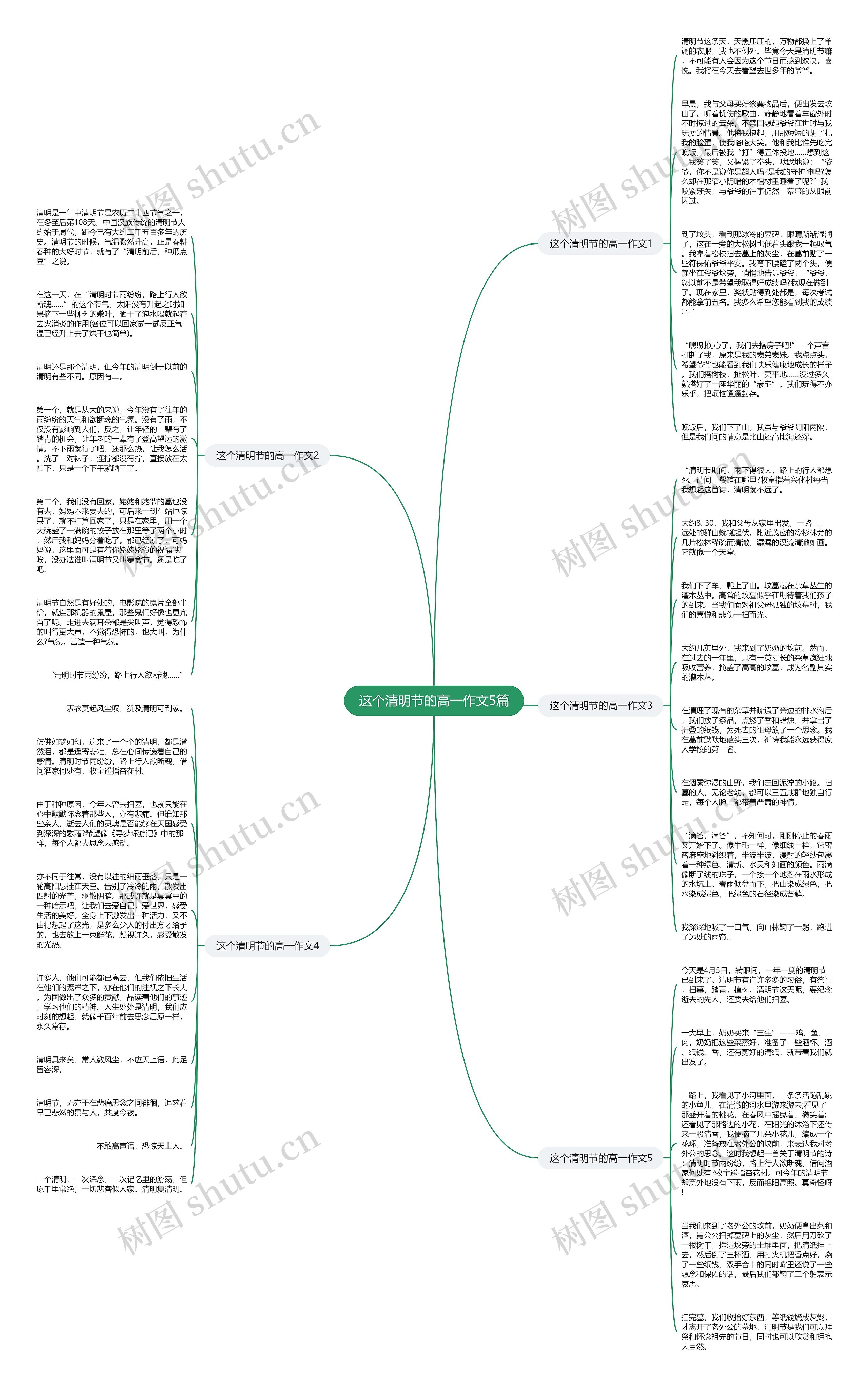 这个清明节的高一作文5篇思维导图