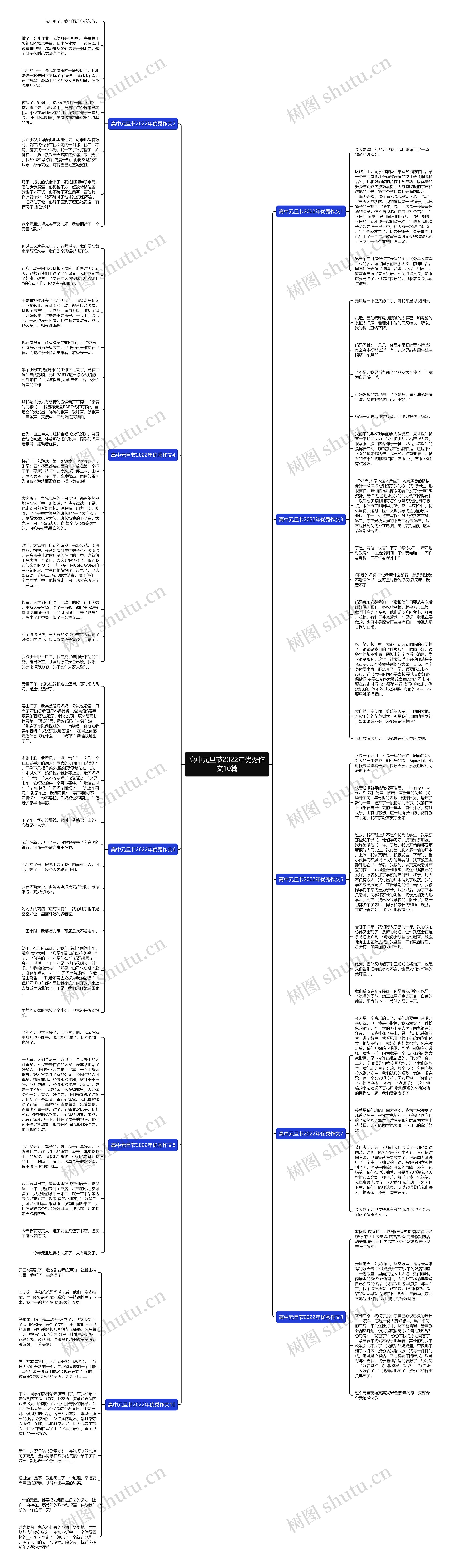高中元旦节2022年优秀作文10篇思维导图