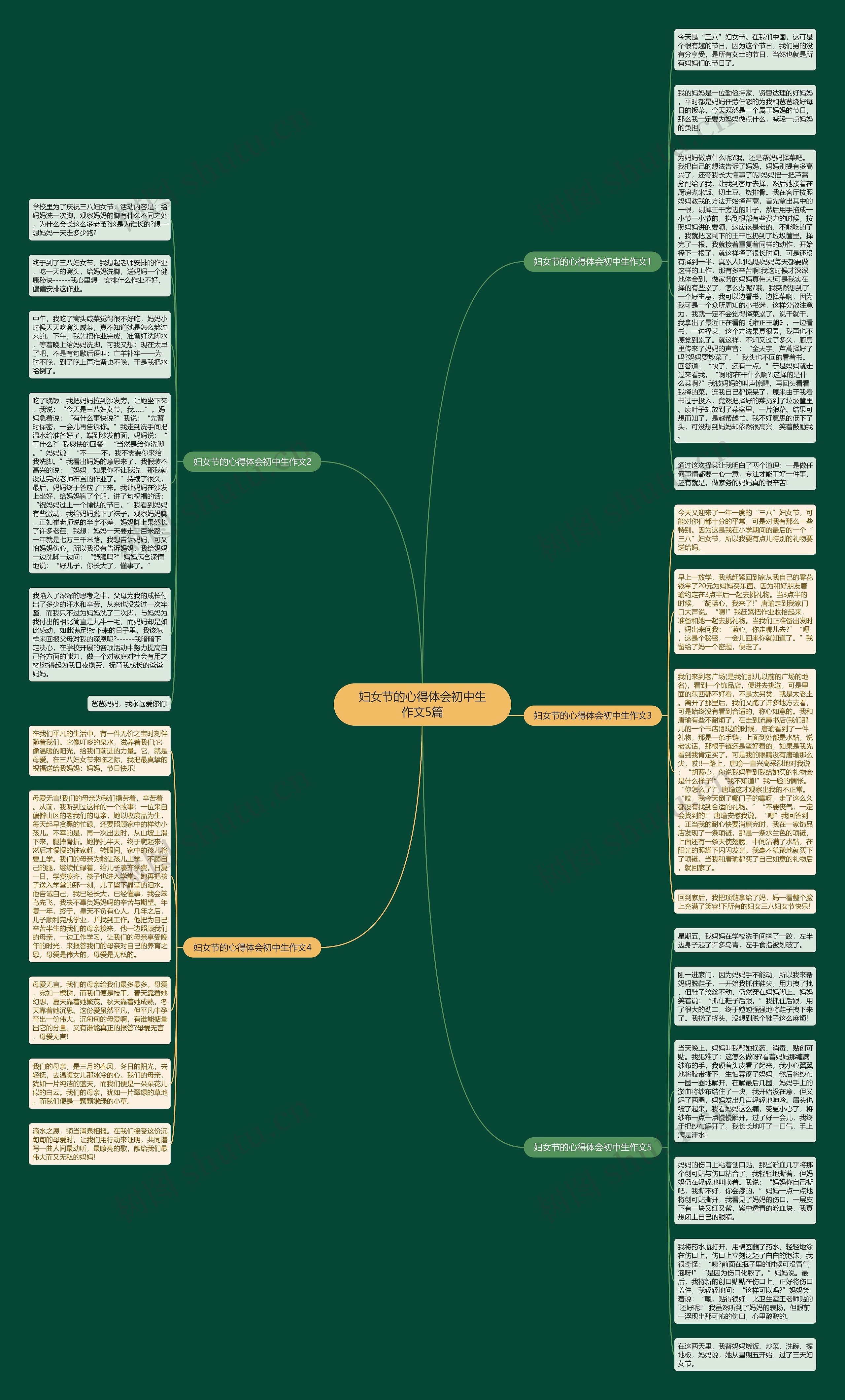 妇女节的心得体会初中生作文5篇思维导图