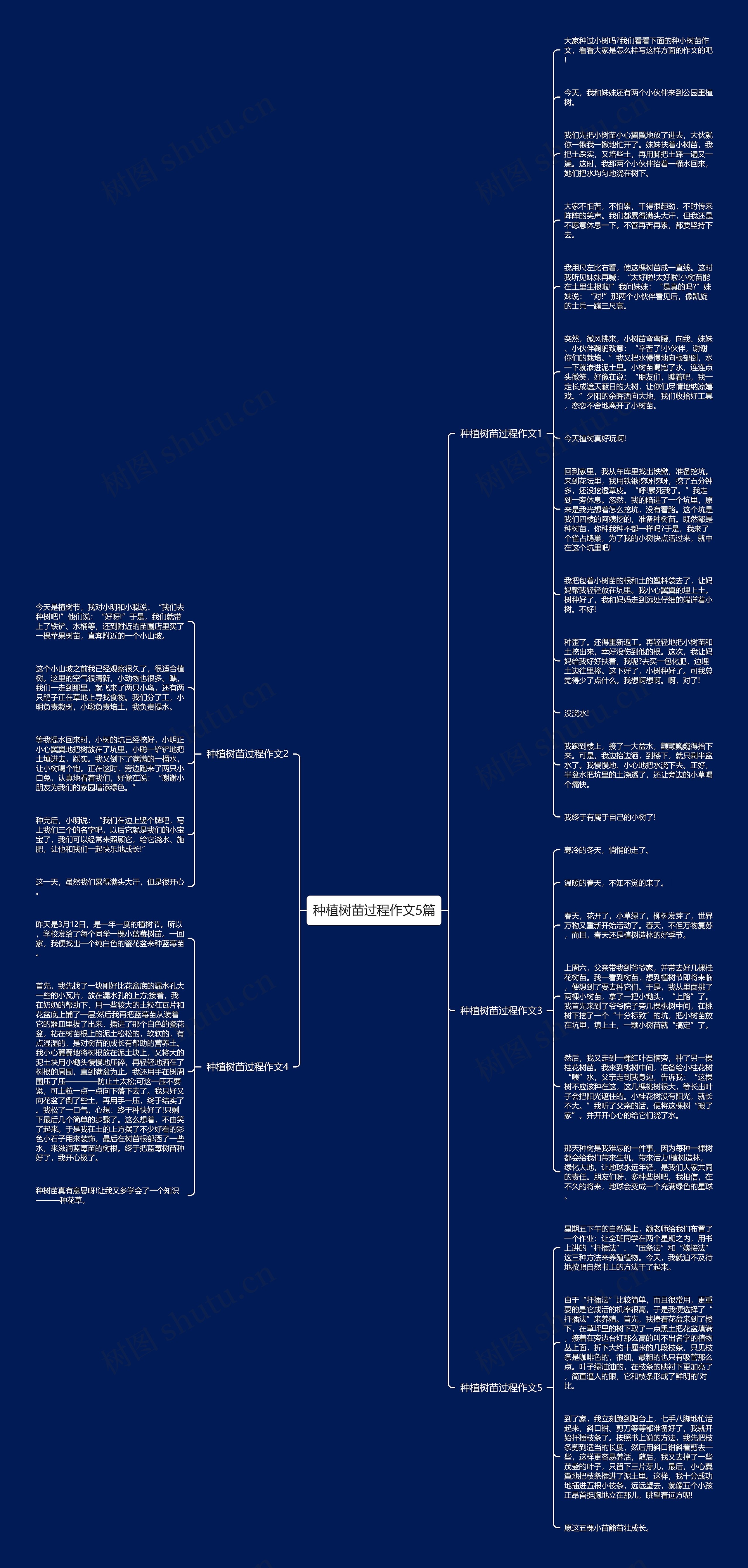 种植树苗过程作文5篇思维导图