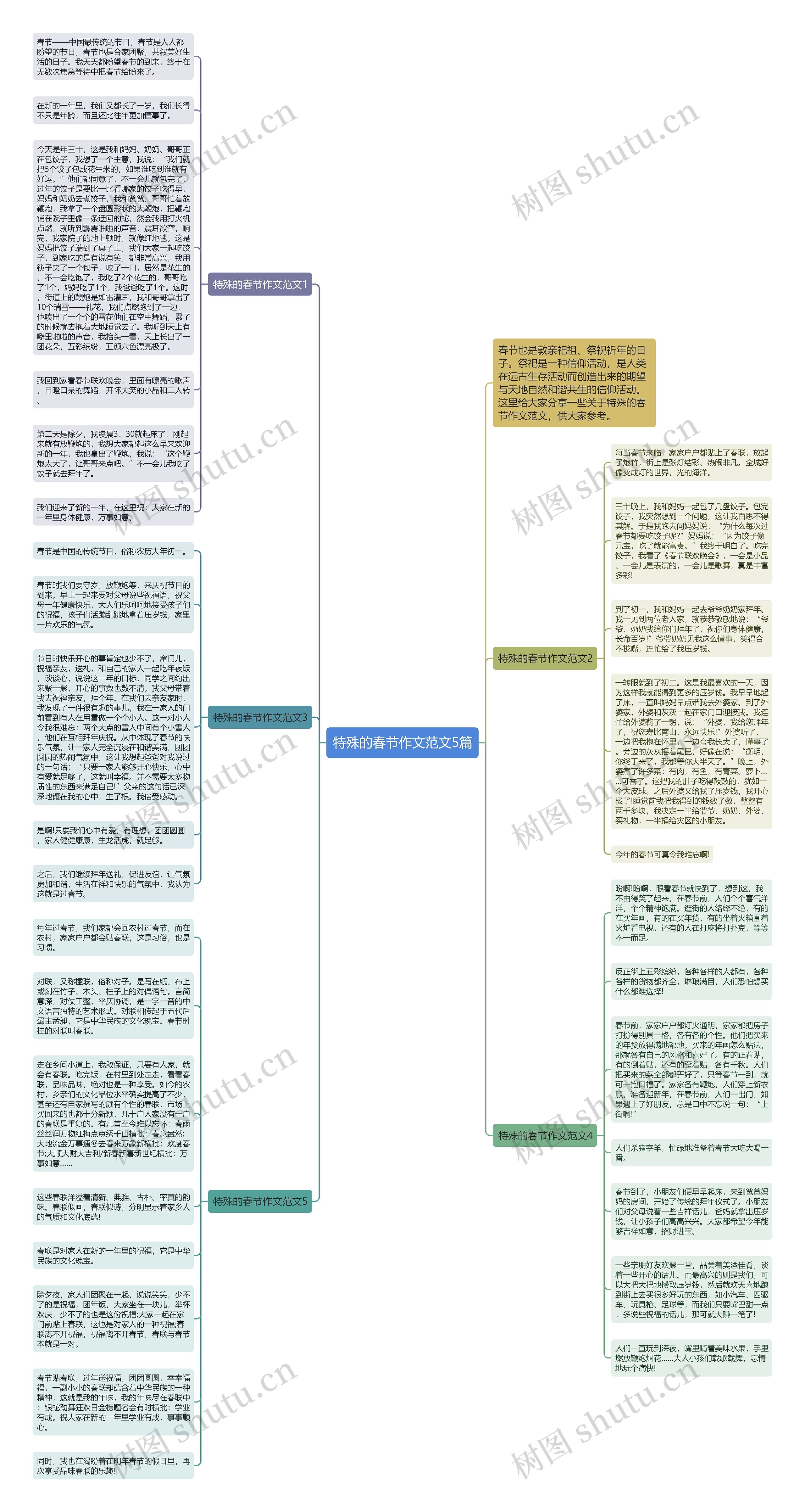 特殊的春节作文范文5篇思维导图