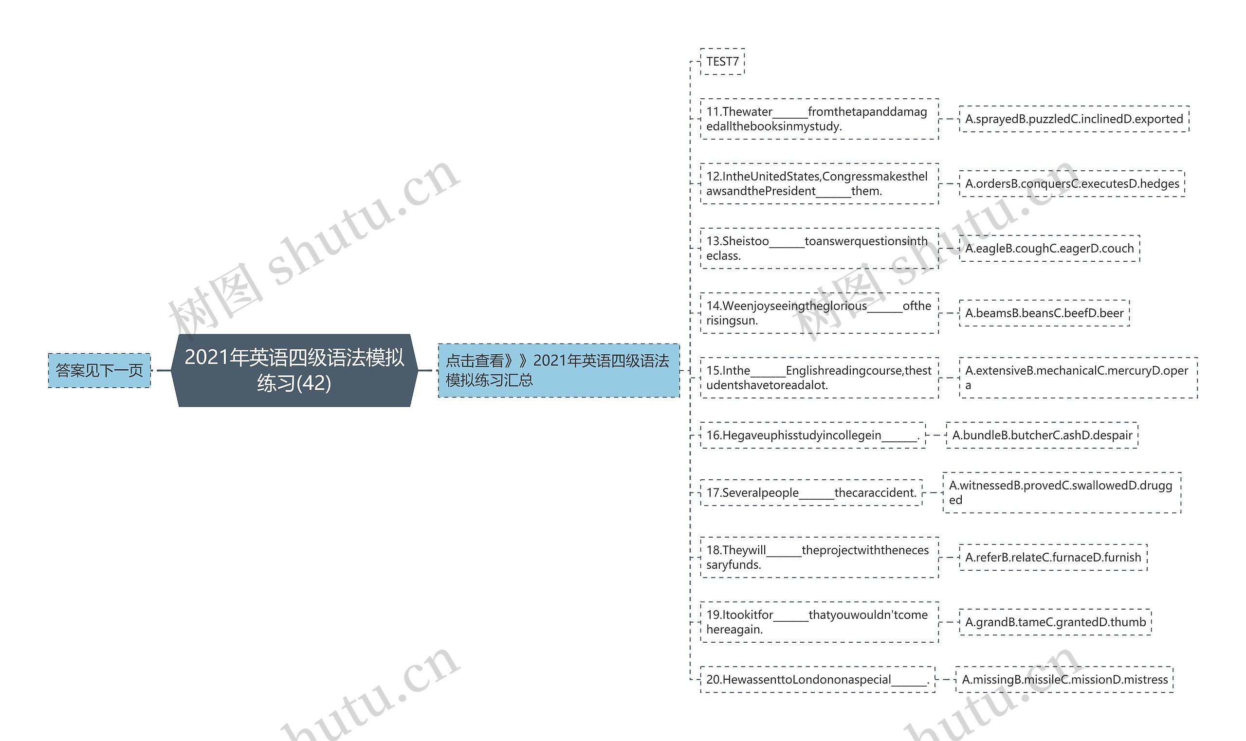 2021年英语四级语法模拟练习(42)思维导图