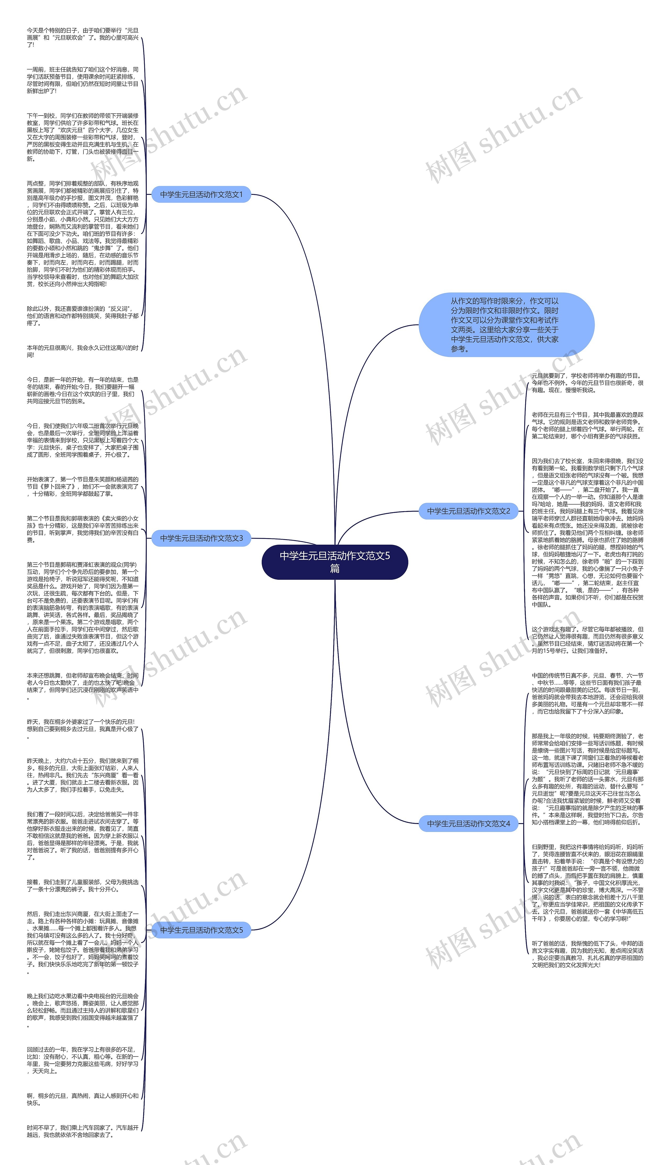 中学生元旦活动作文范文5篇思维导图