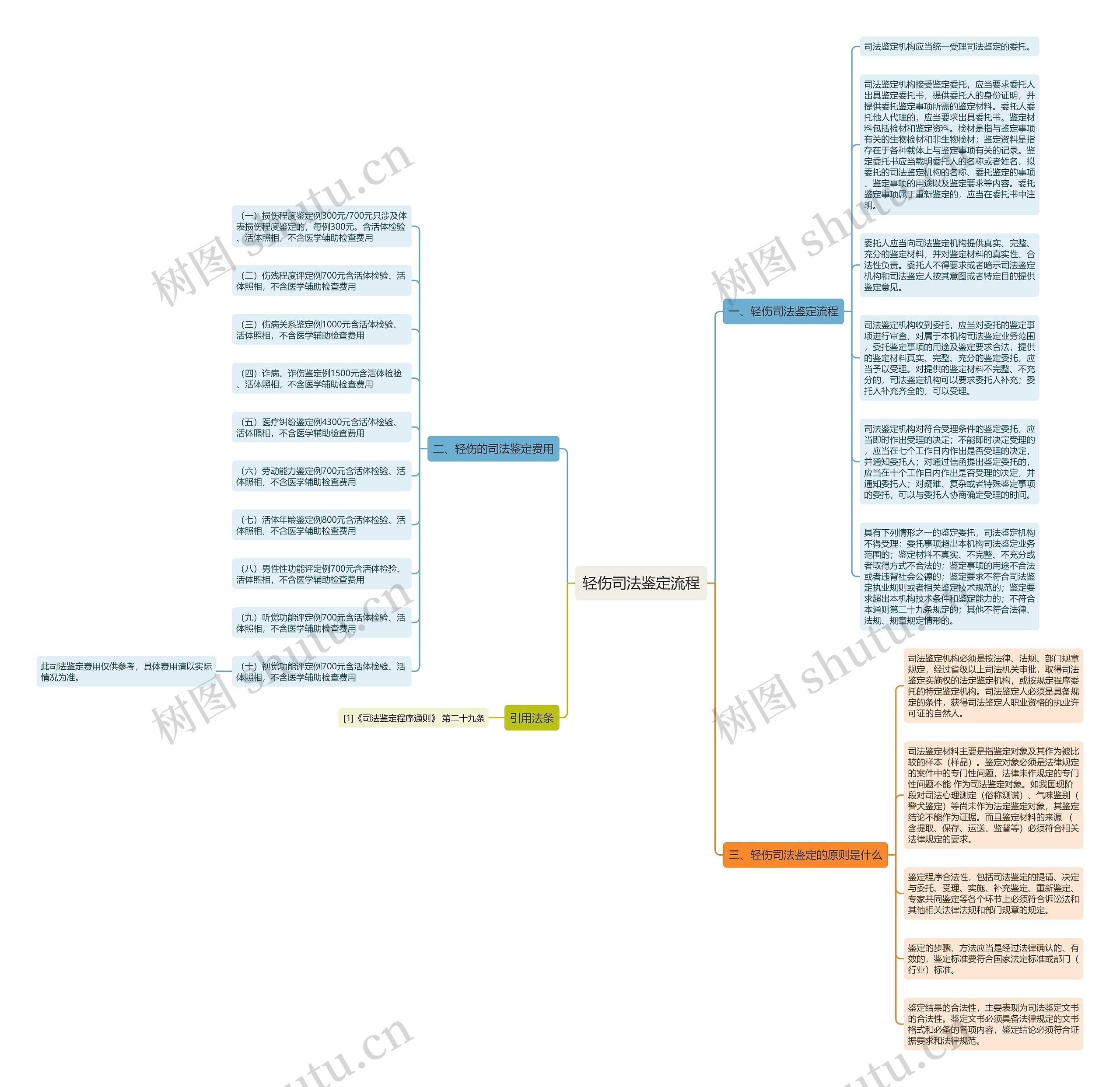 轻伤司法鉴定流程思维导图