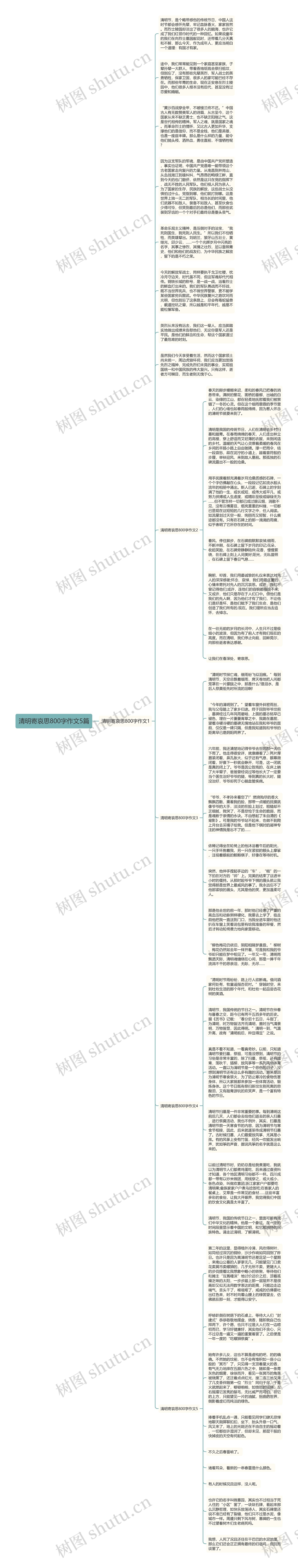 清明寄哀思800字作文5篇