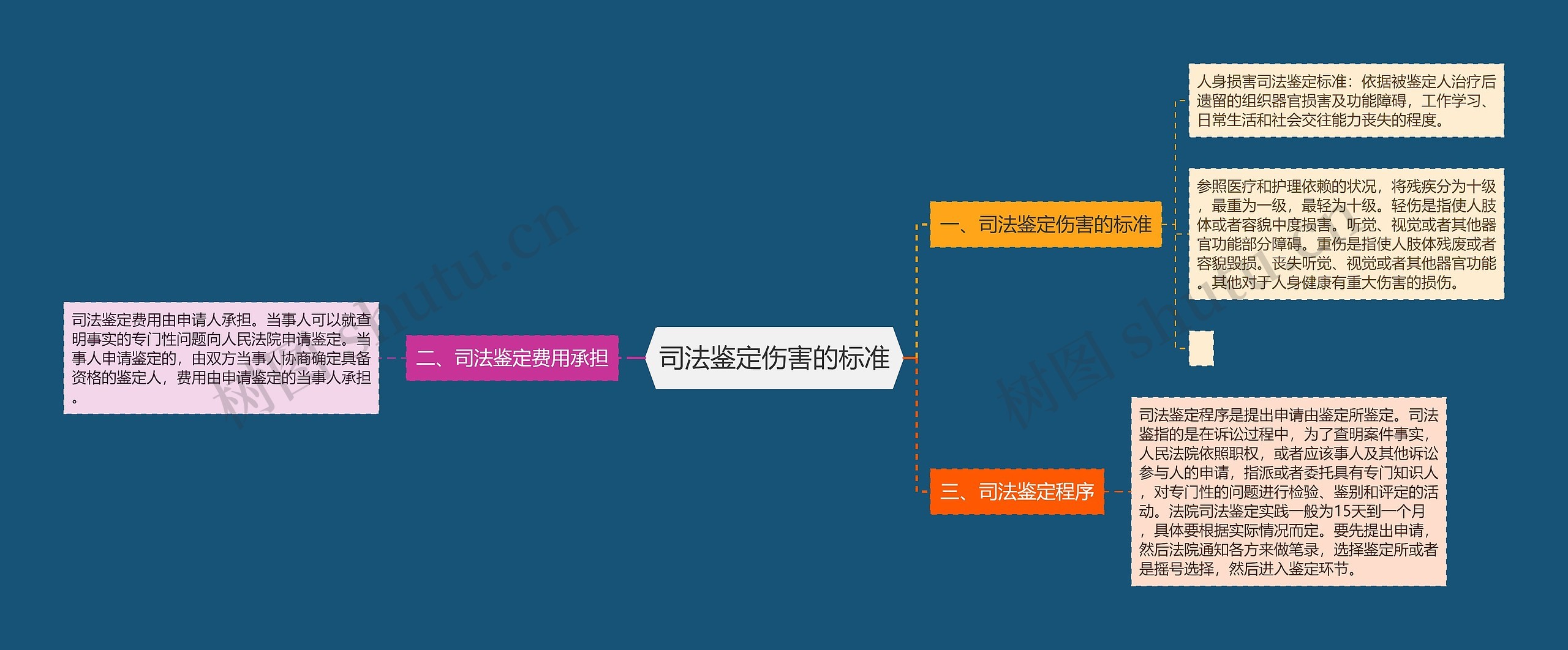 司法鉴定伤害的标准思维导图