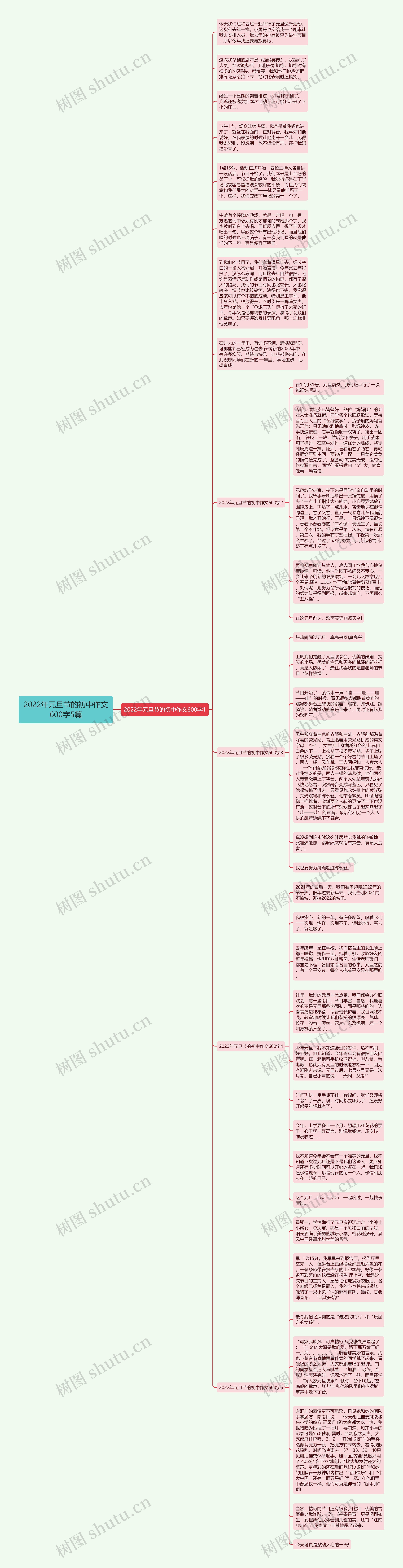 2022年元旦节的初中作文600字5篇思维导图