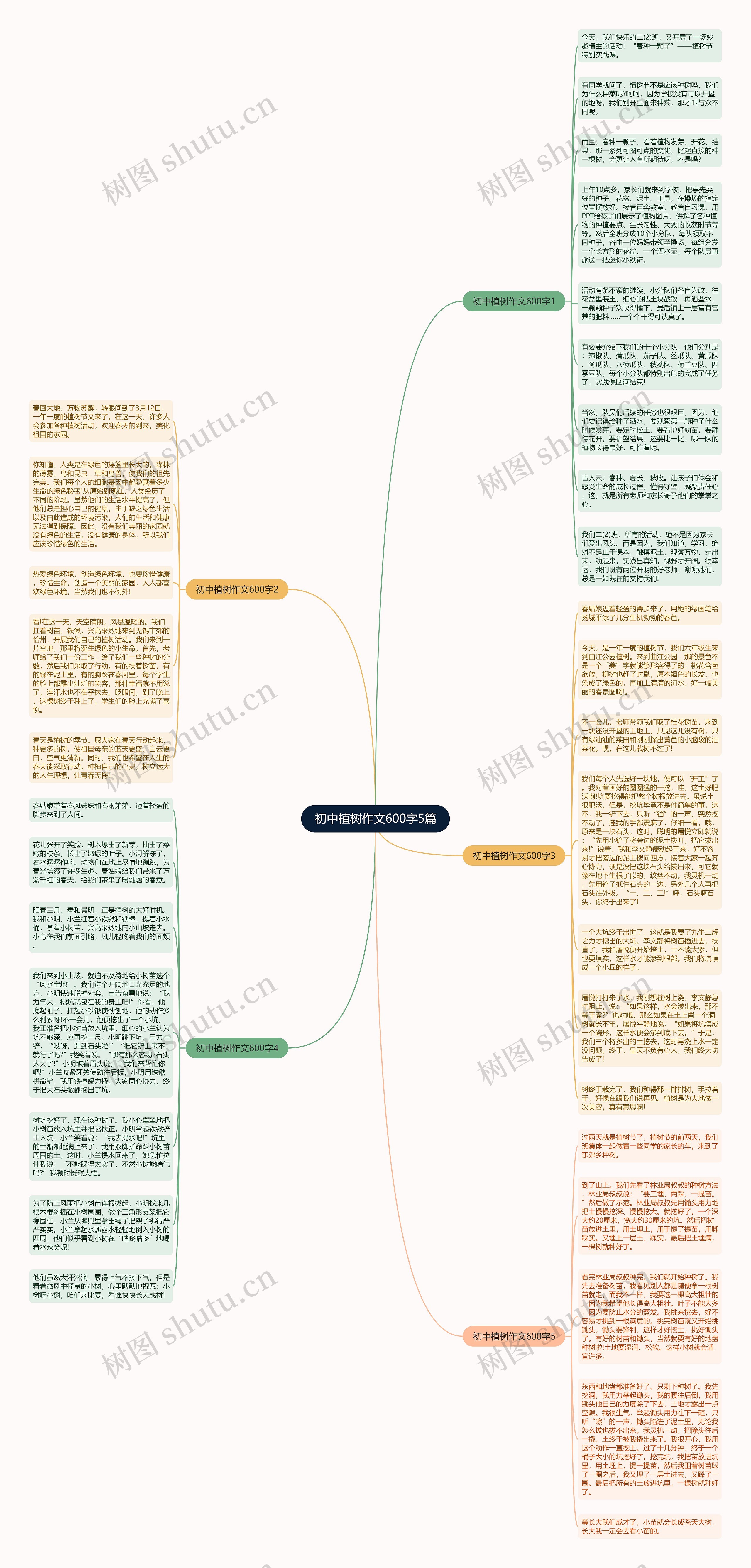 初中植树作文600字5篇思维导图