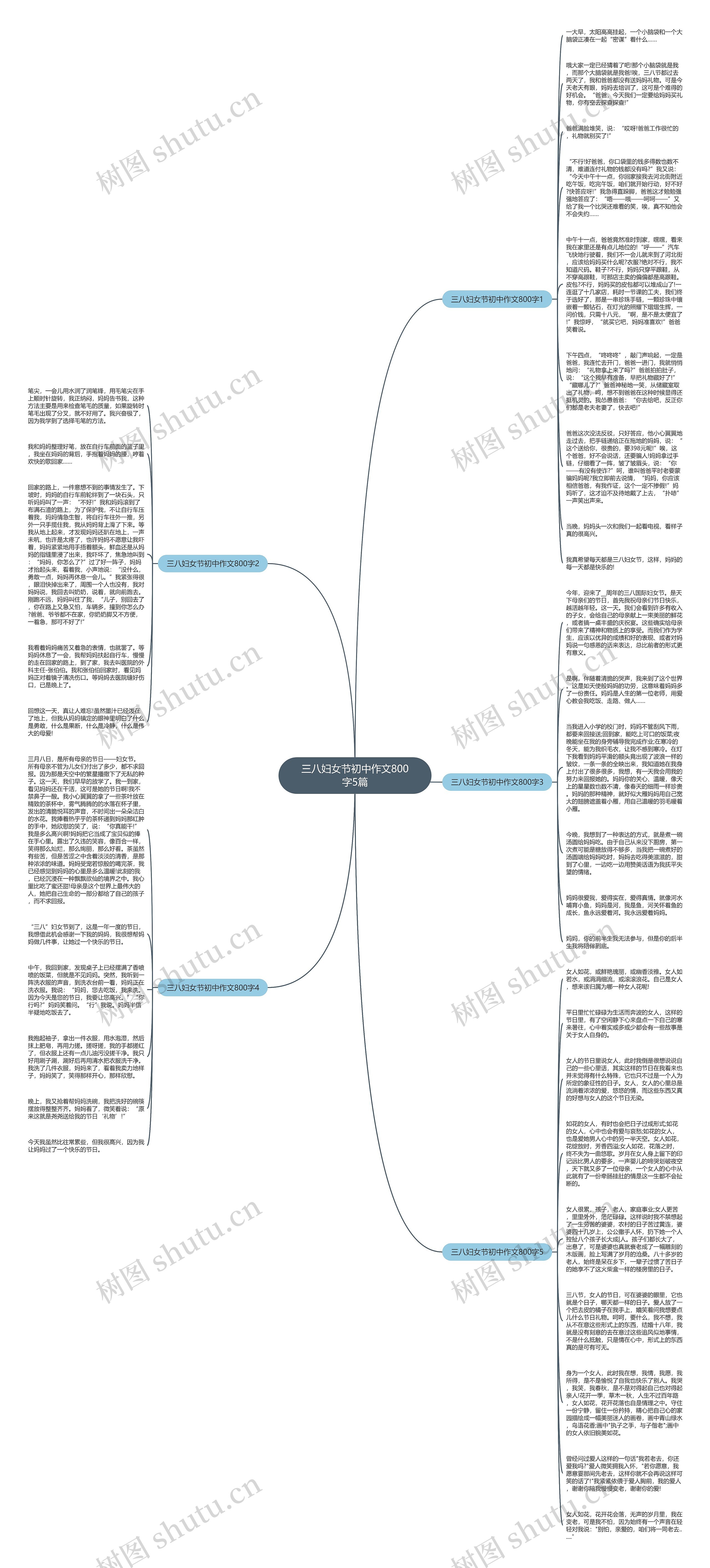 三八妇女节初中作文800字5篇思维导图
