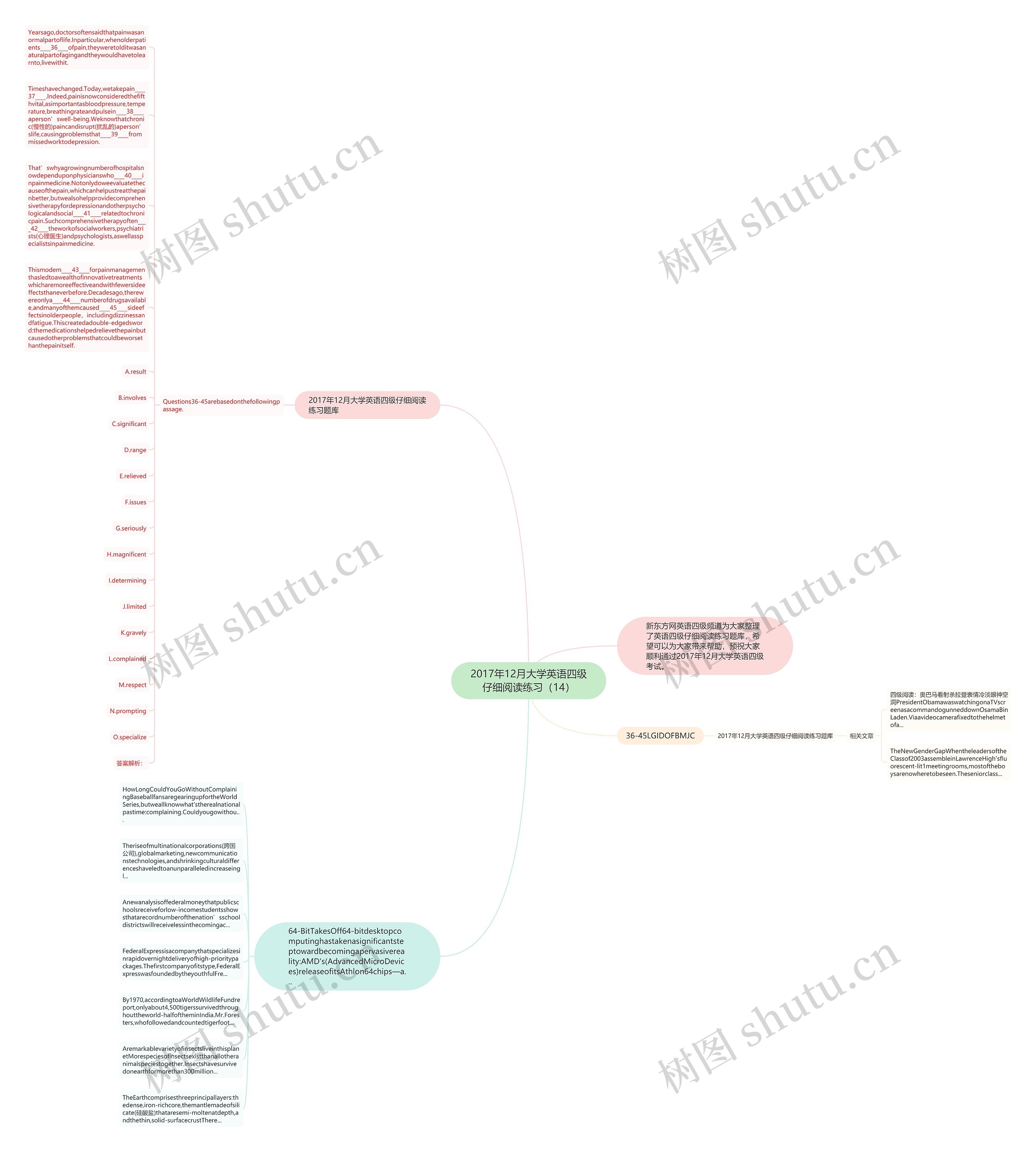 2017年12月大学英语四级仔细阅读练习（14）思维导图