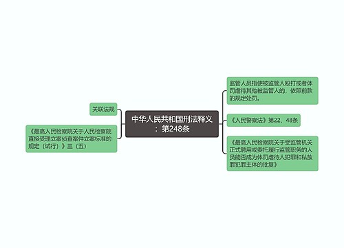 中华人民共和国刑法释义：第248条