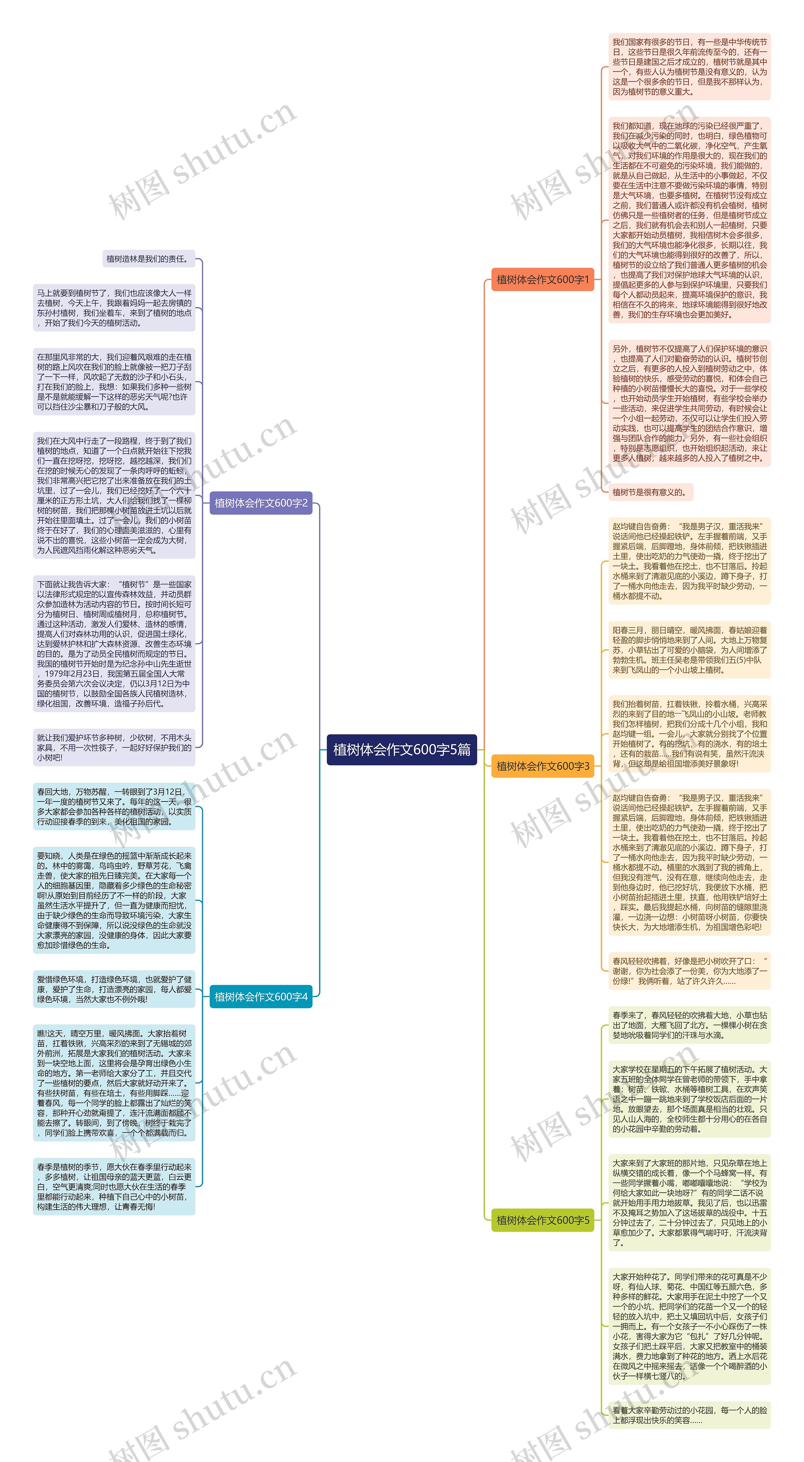 植树体会作文600字5篇思维导图