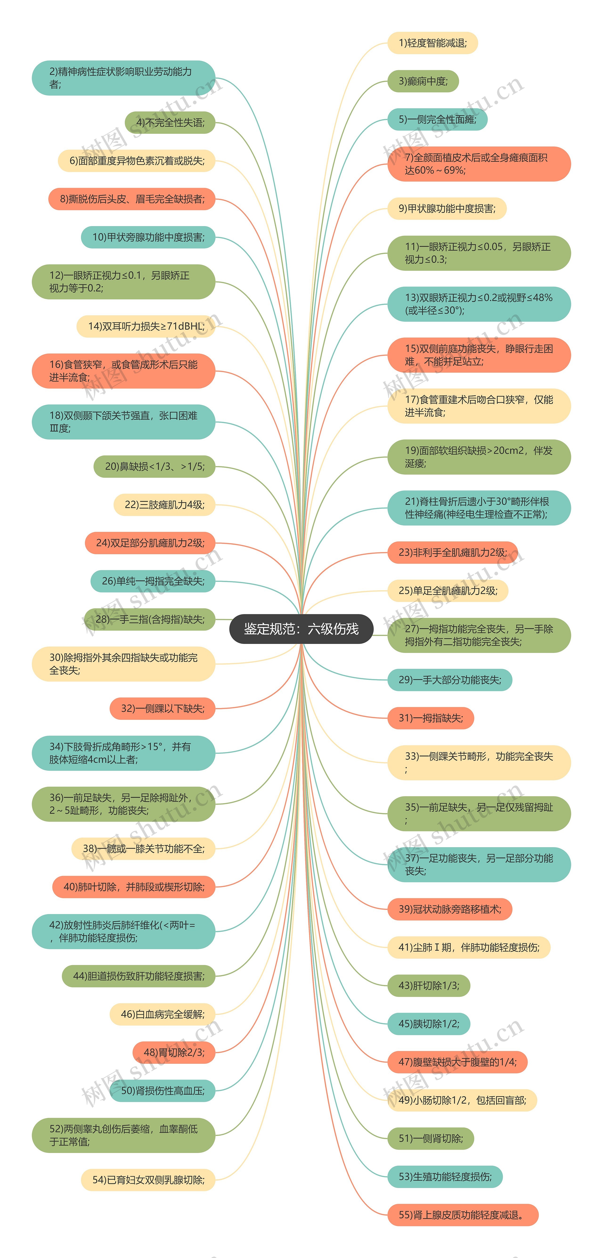 鉴定规范：六级伤残思维导图