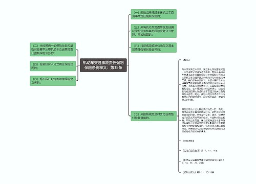 机动车交通事故责任强制保险条例释义：第38条