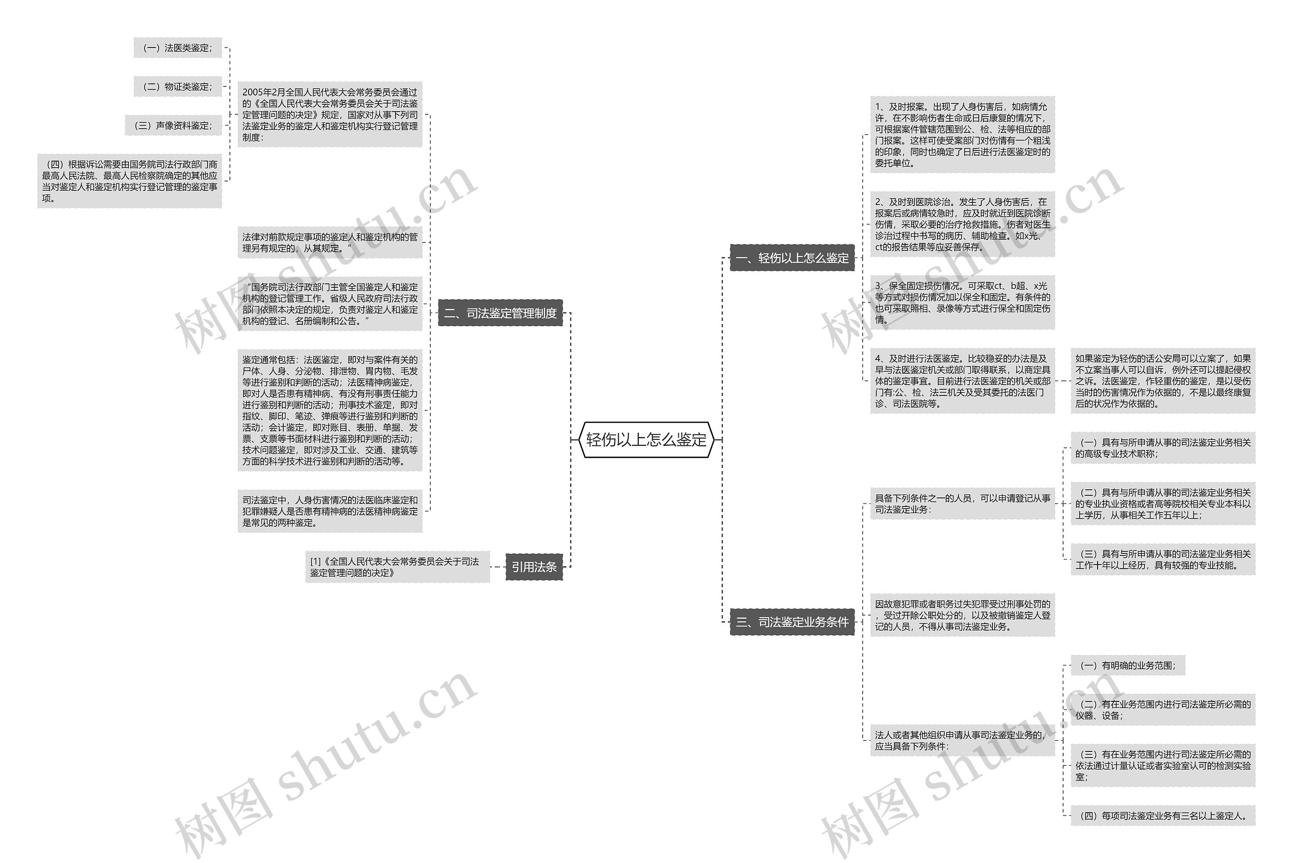 轻伤以上怎么鉴定思维导图
