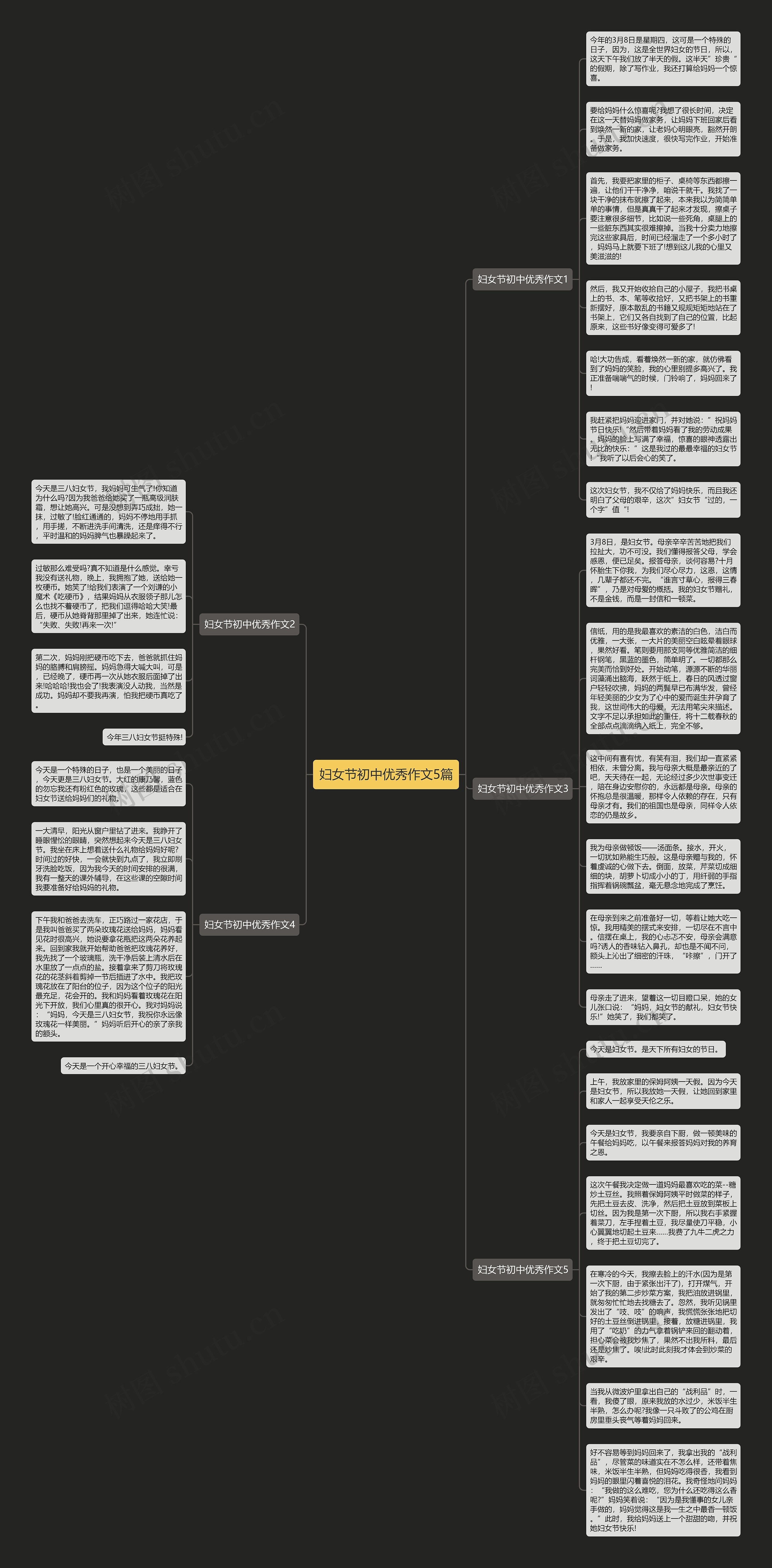 妇女节初中优秀作文5篇思维导图
