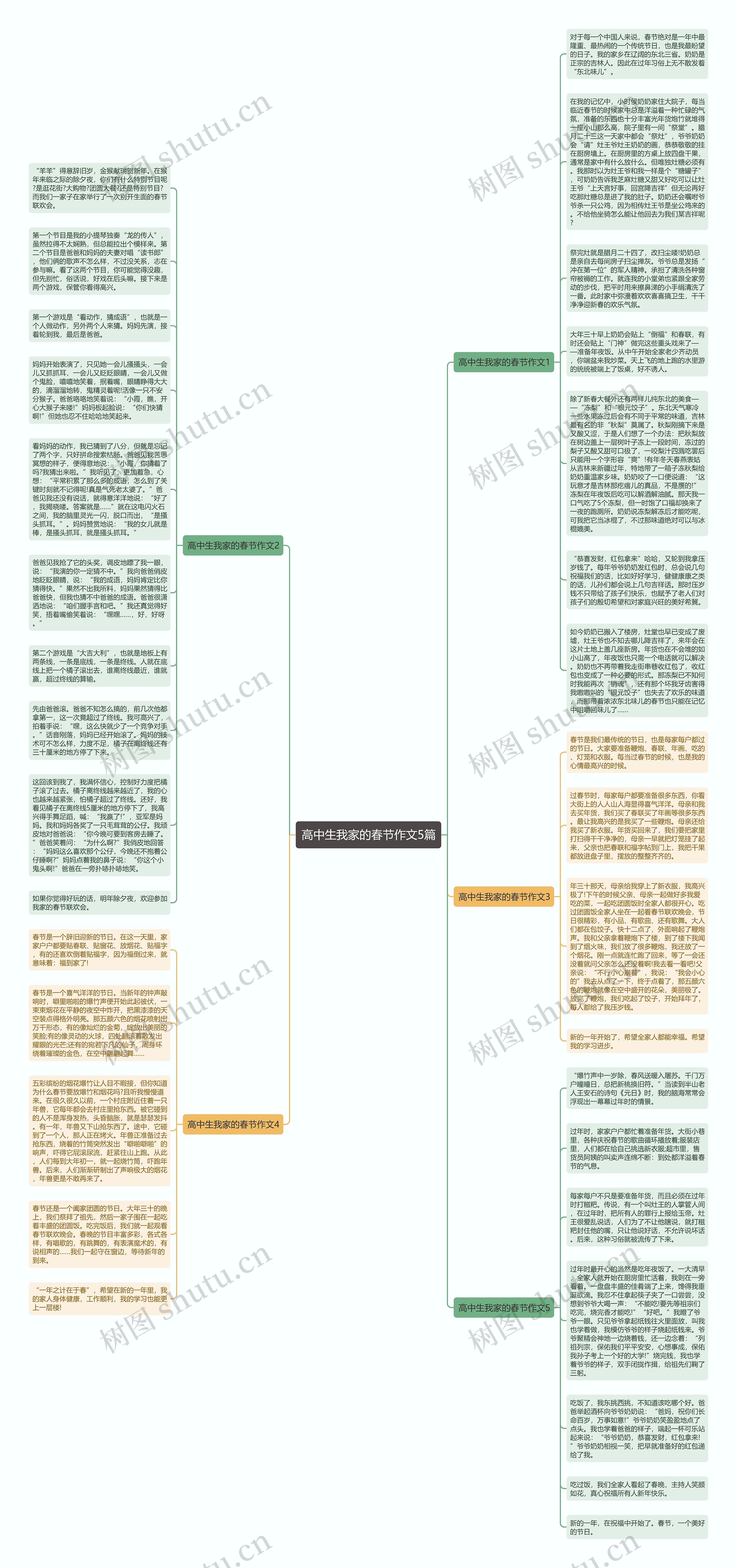 高中生我家的春节作文5篇思维导图