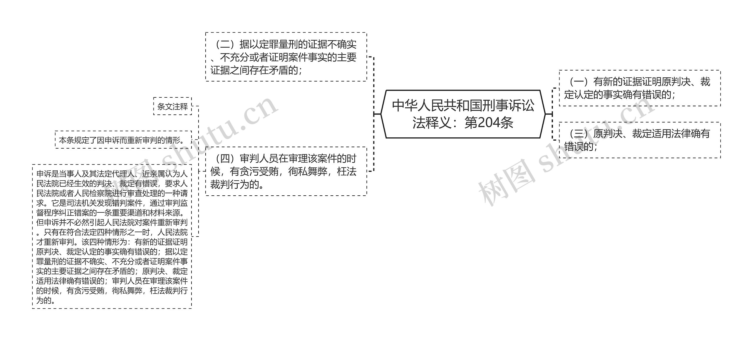 中华人民共和国刑事诉讼法释义：第204条