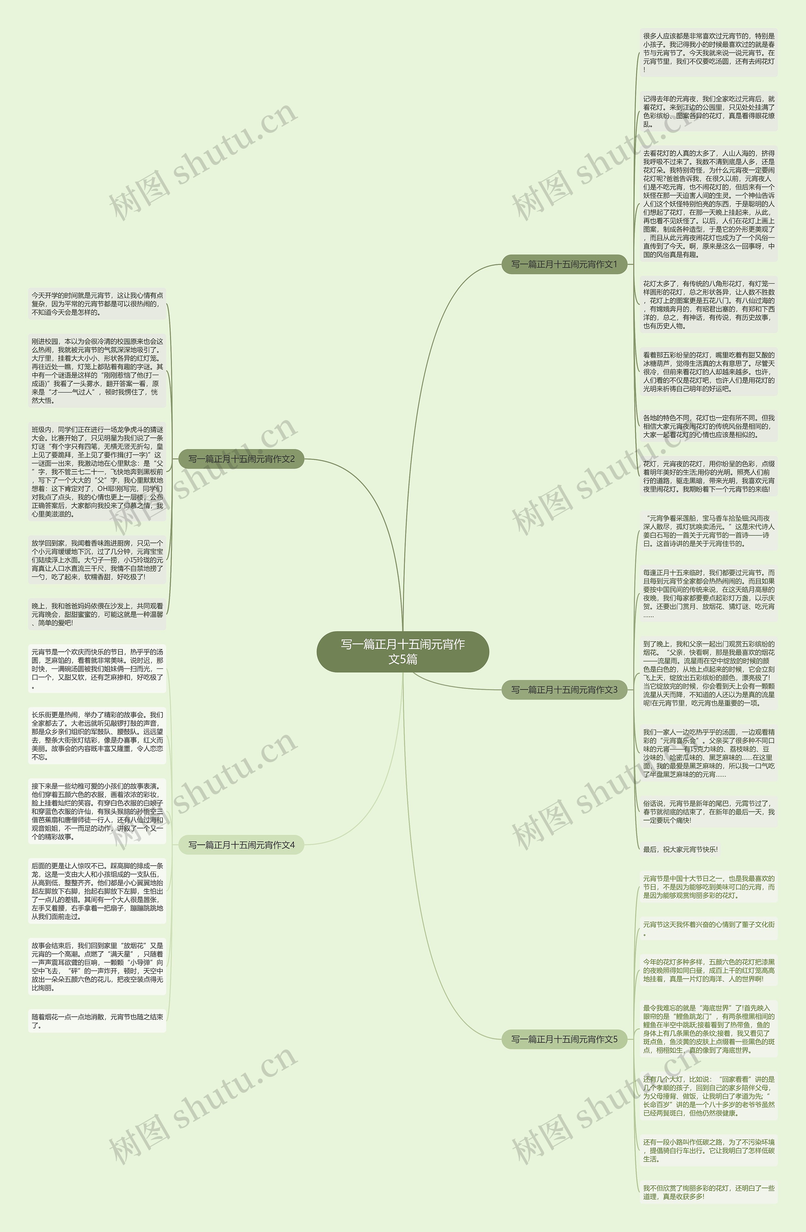 写一篇正月十五闹元宵作文5篇思维导图
