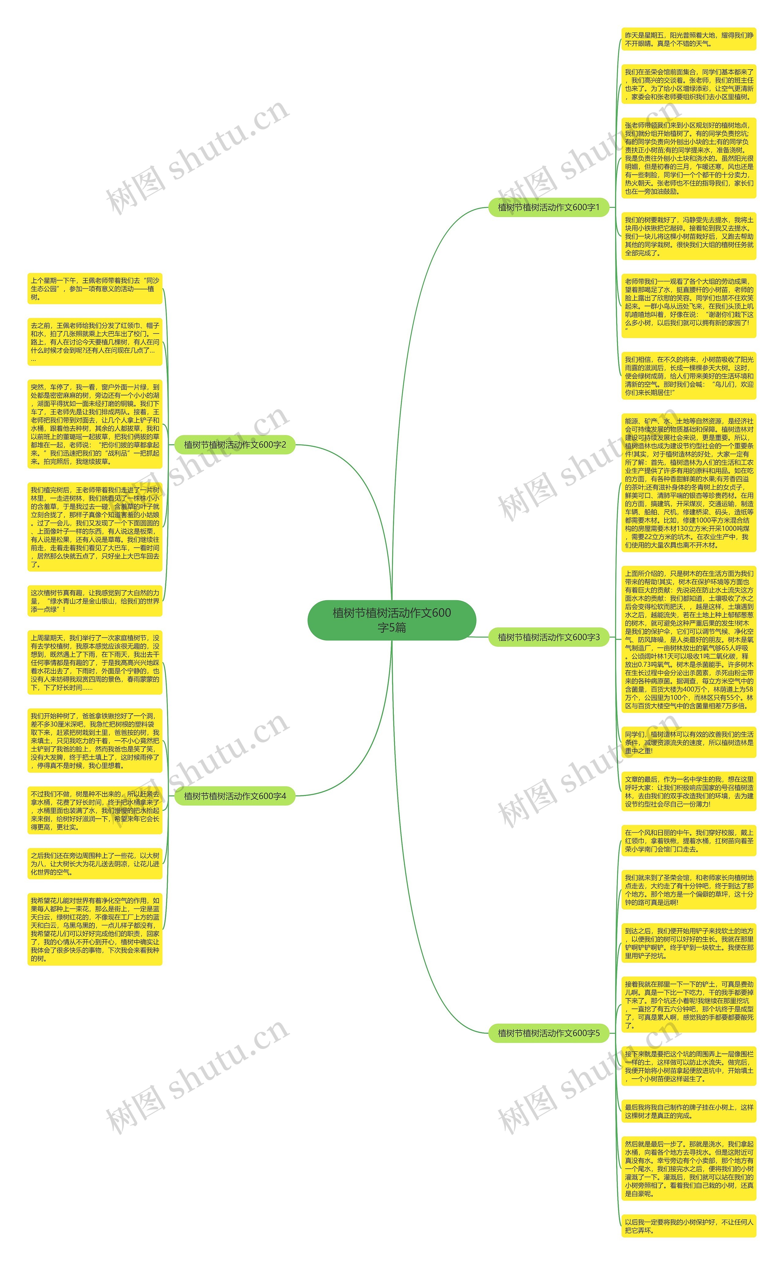 植树节植树活动作文600字5篇思维导图
