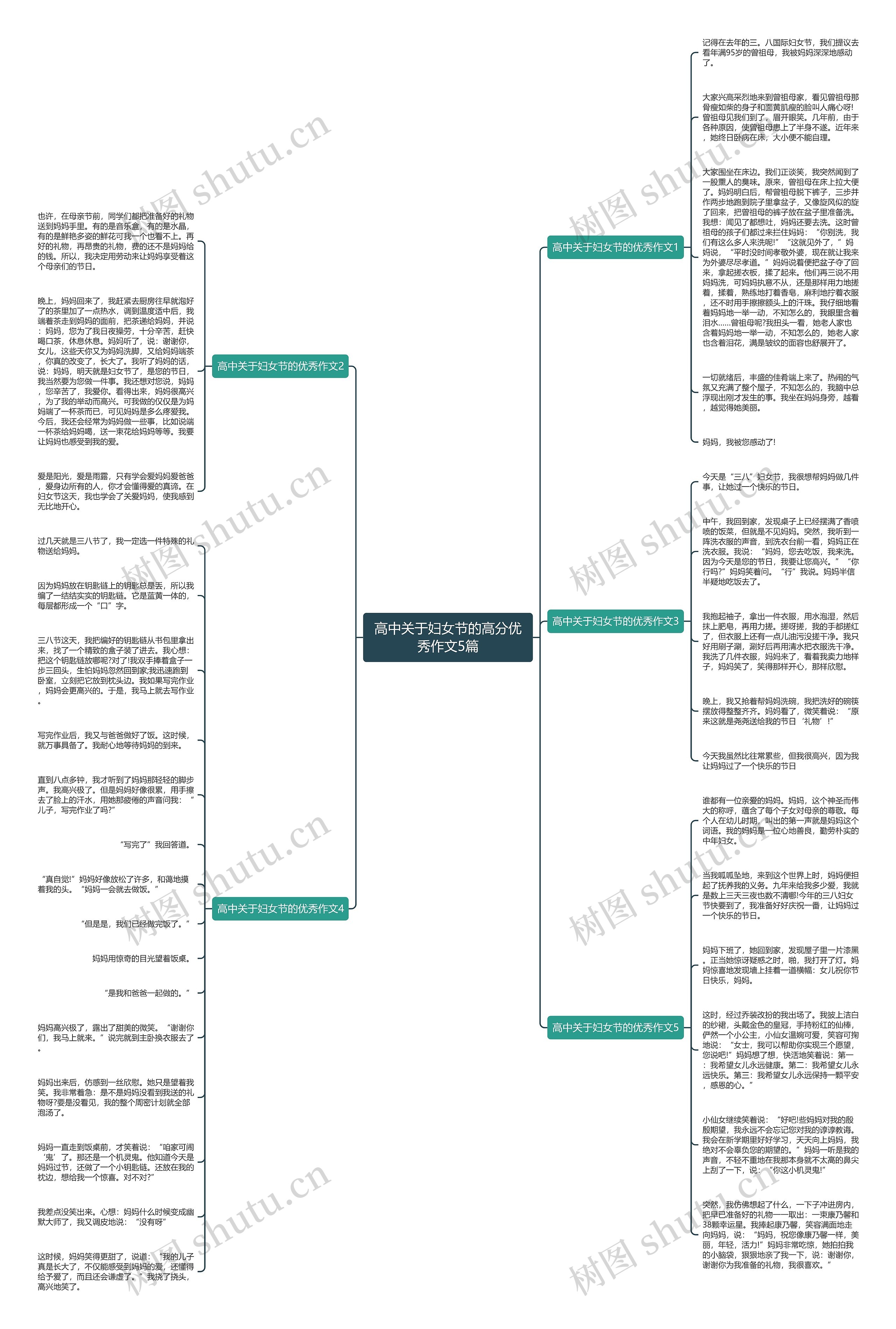 高中关于妇女节的高分优秀作文5篇思维导图
