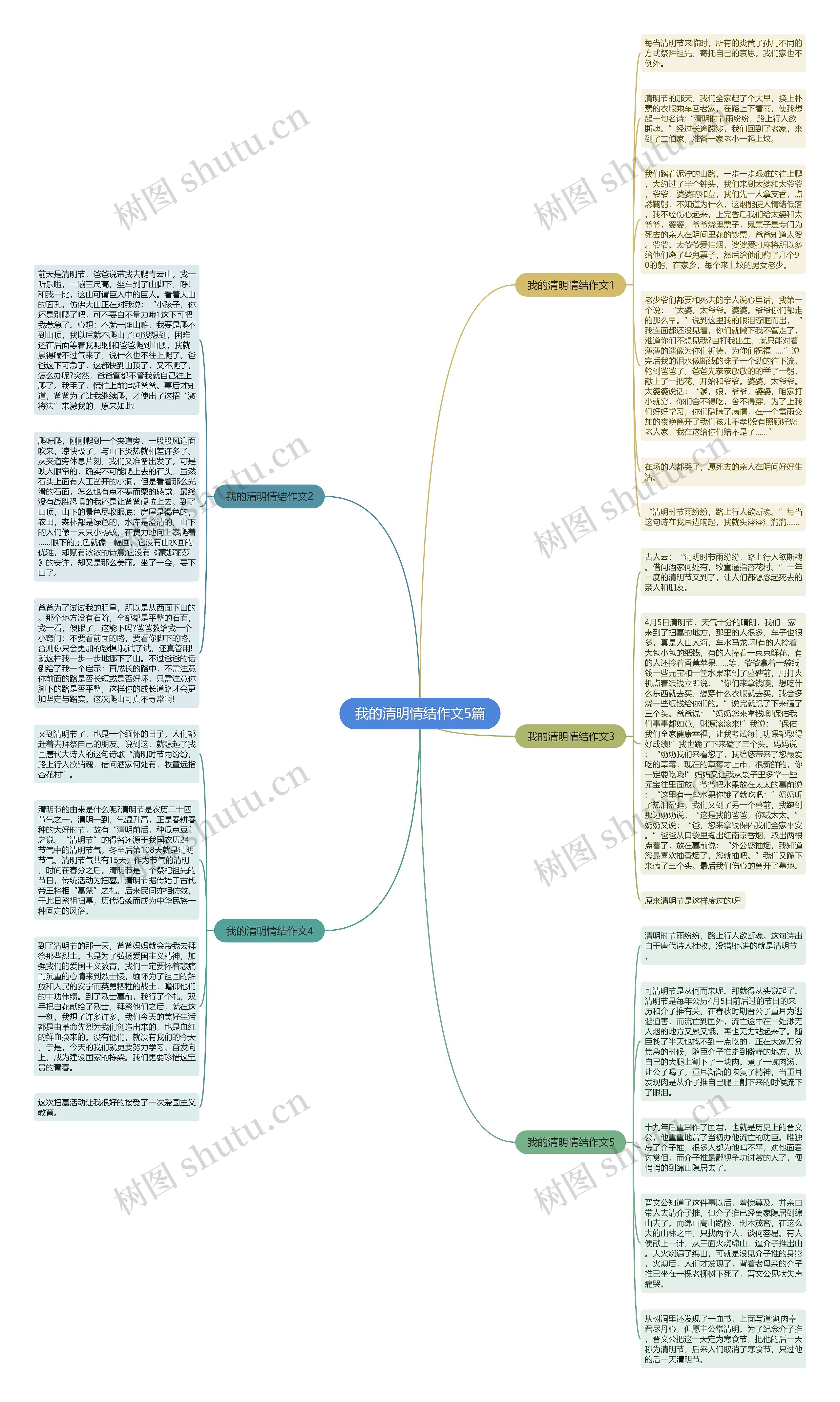 我的清明情结作文5篇思维导图
