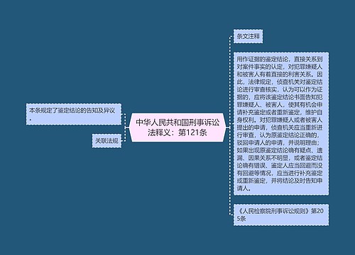 中华人民共和国刑事诉讼法释义：第121条