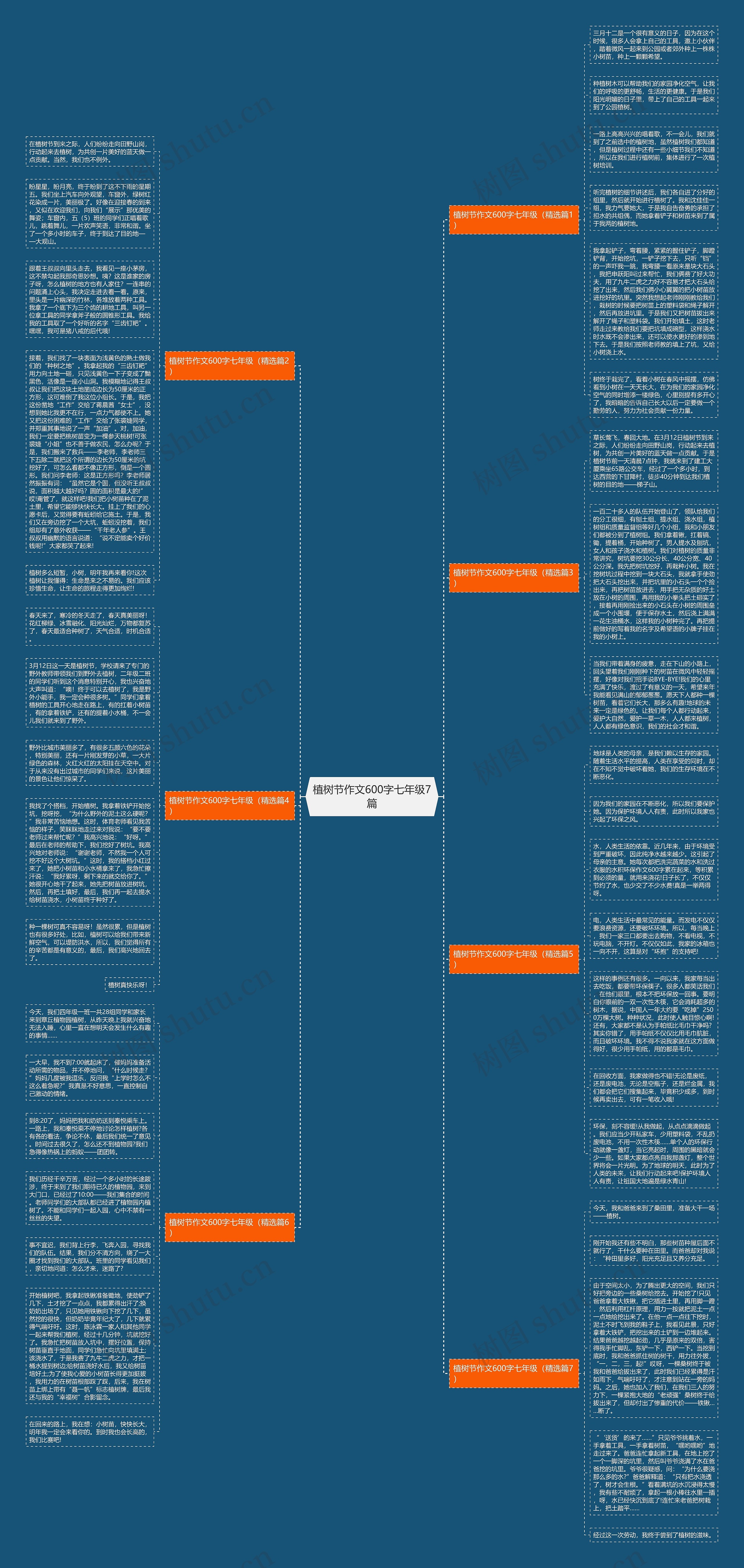 植树节作文600字七年级7篇思维导图