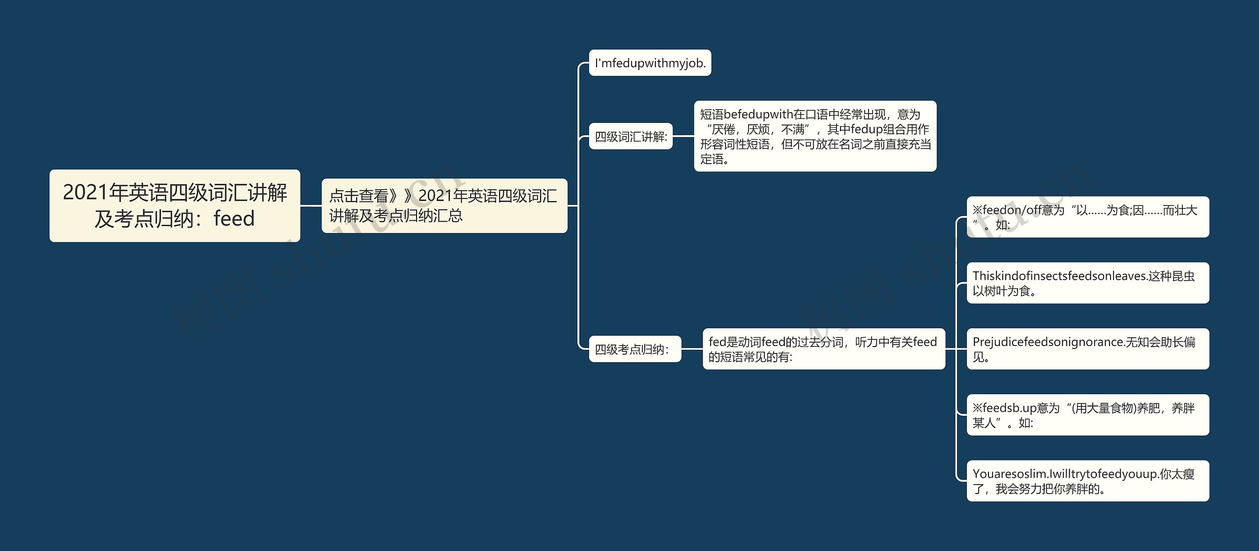 2021年英语四级词汇讲解及考点归纳：feed