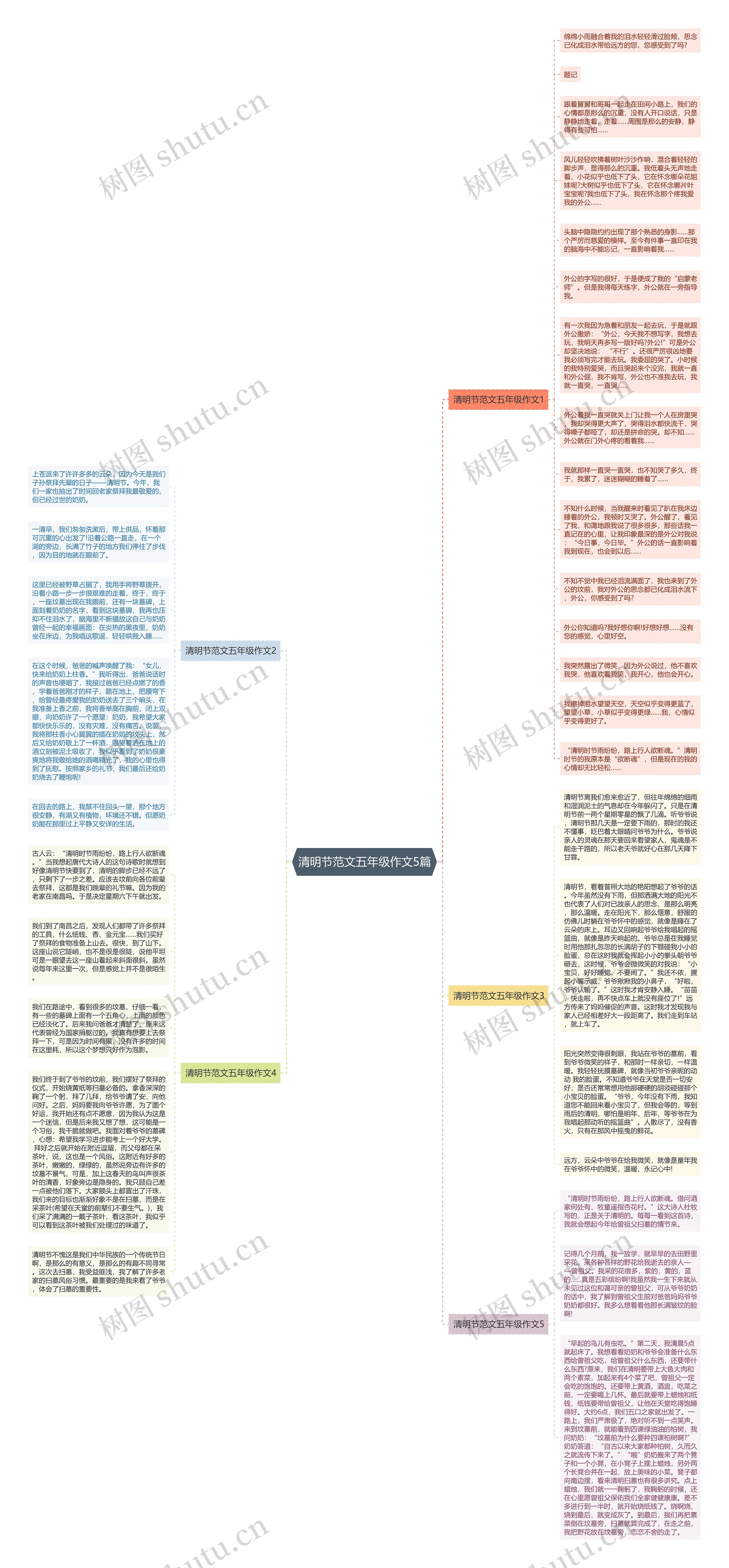 清明节范文五年级作文5篇思维导图