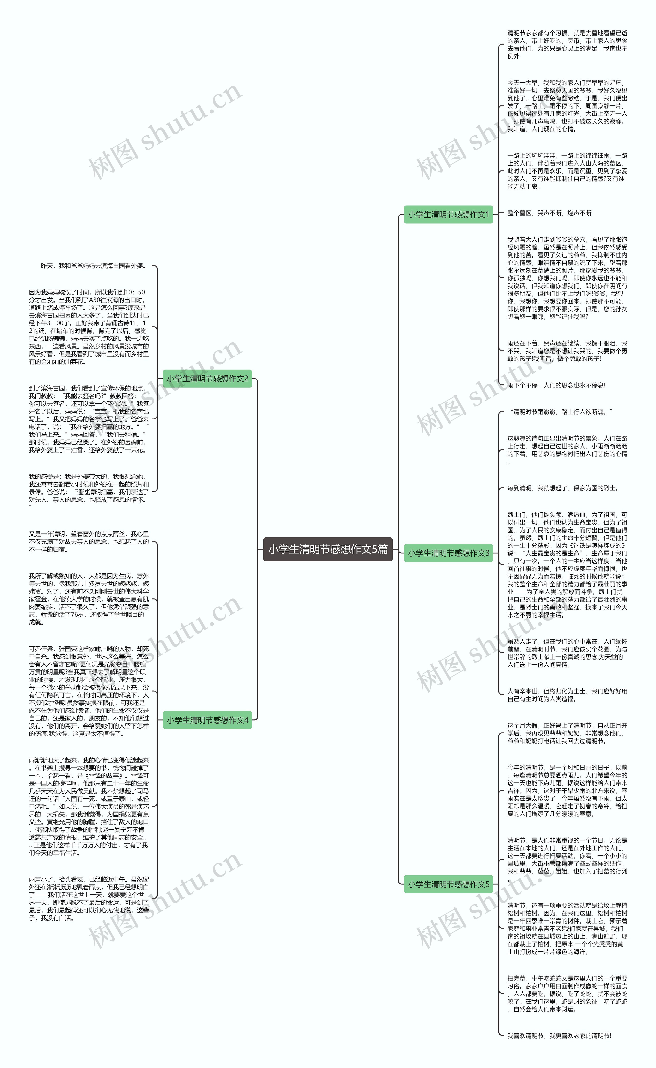 小学生清明节感想作文5篇思维导图