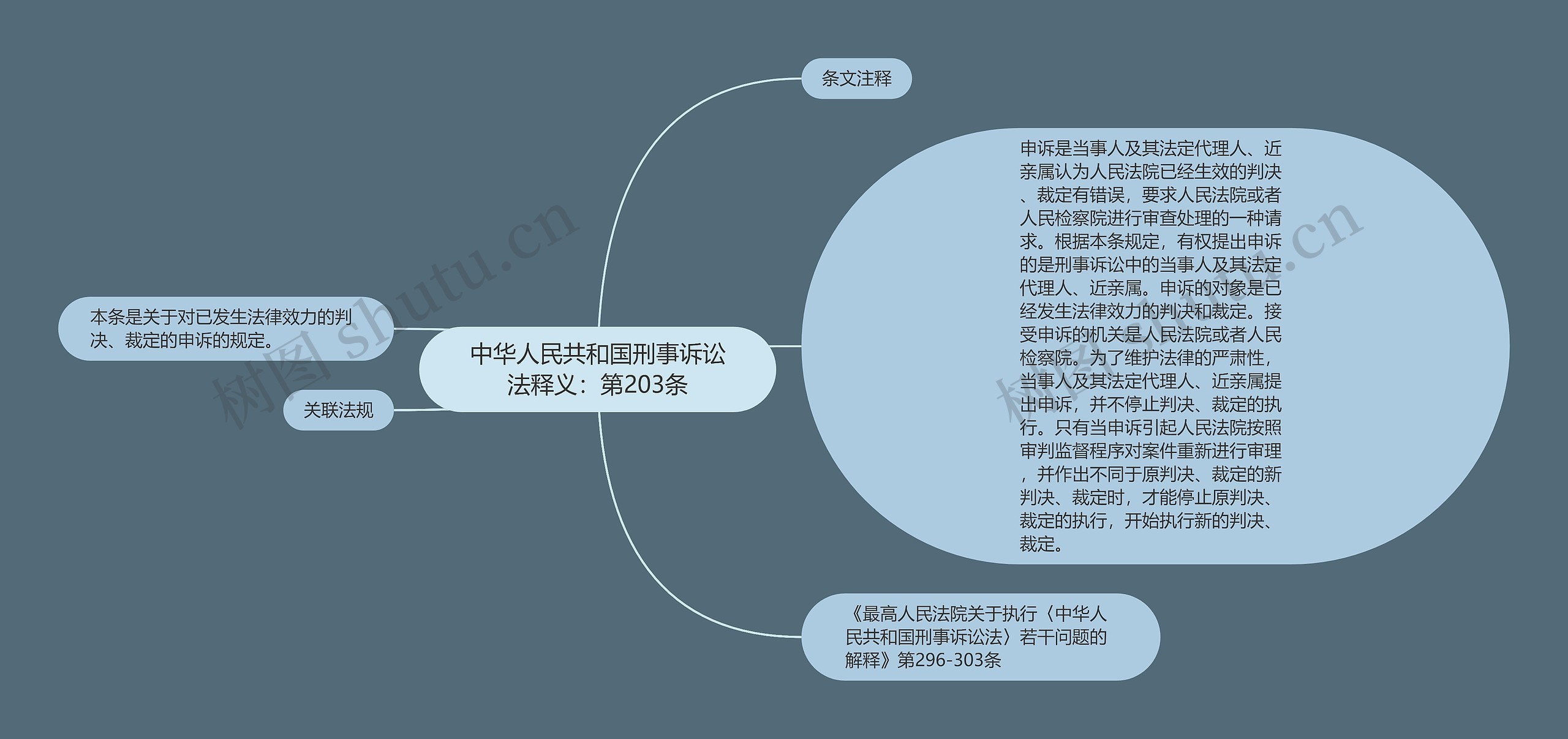 中华人民共和国刑事诉讼法释义：第203条思维导图