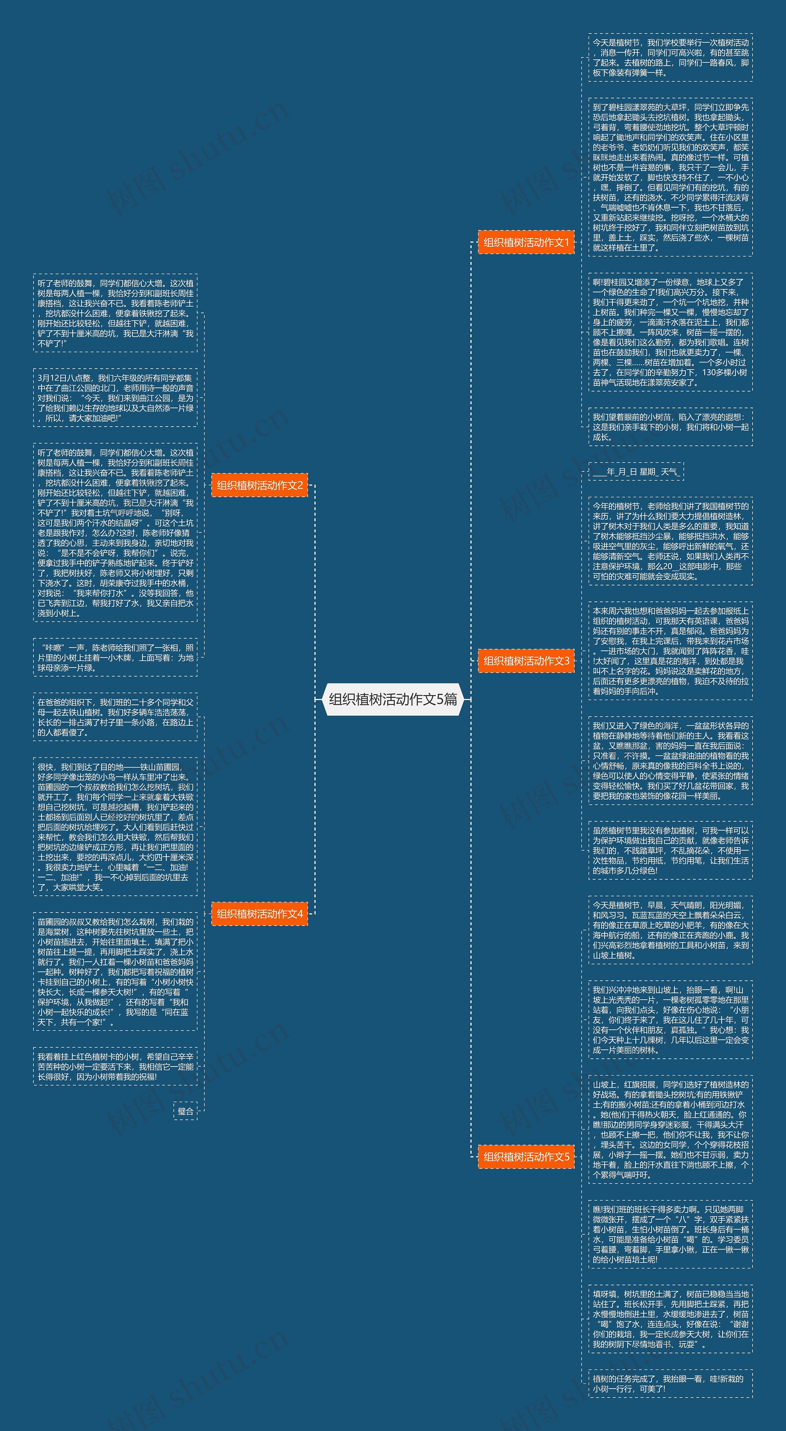 组织植树活动作文5篇思维导图