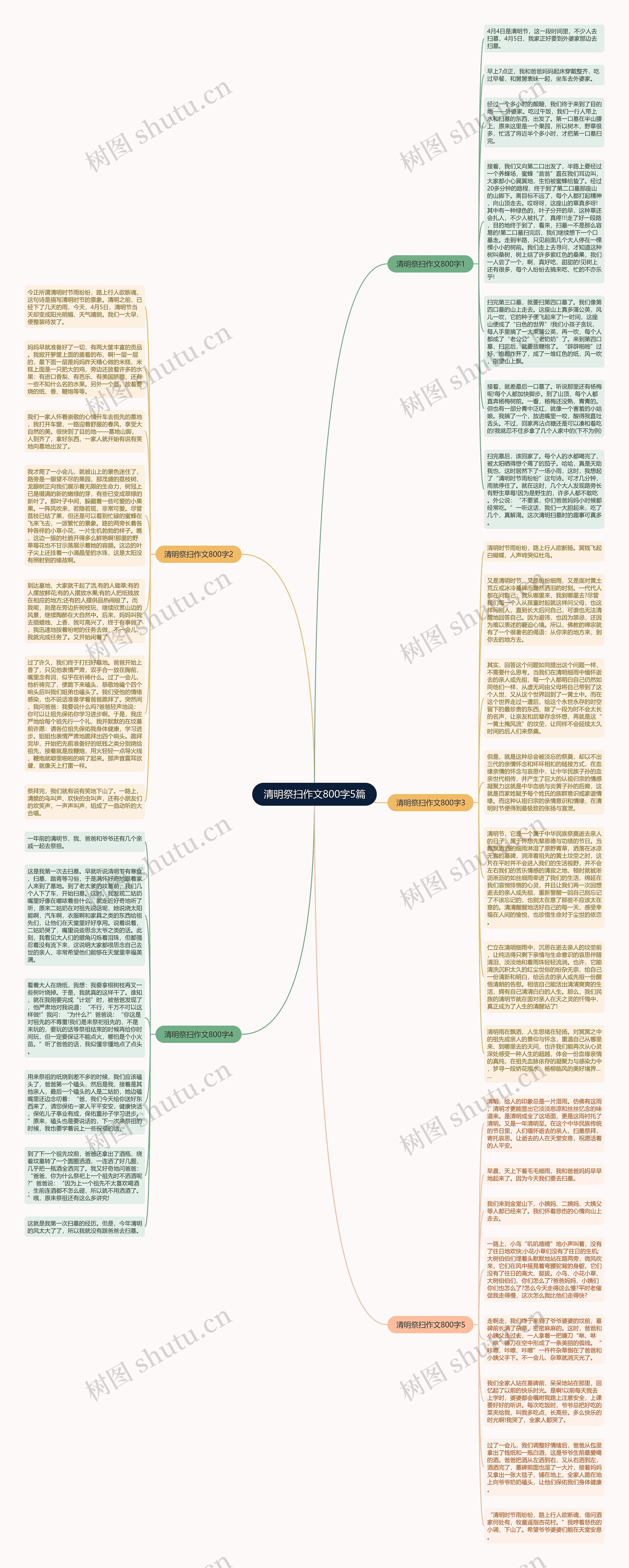 清明祭扫作文800字5篇思维导图
