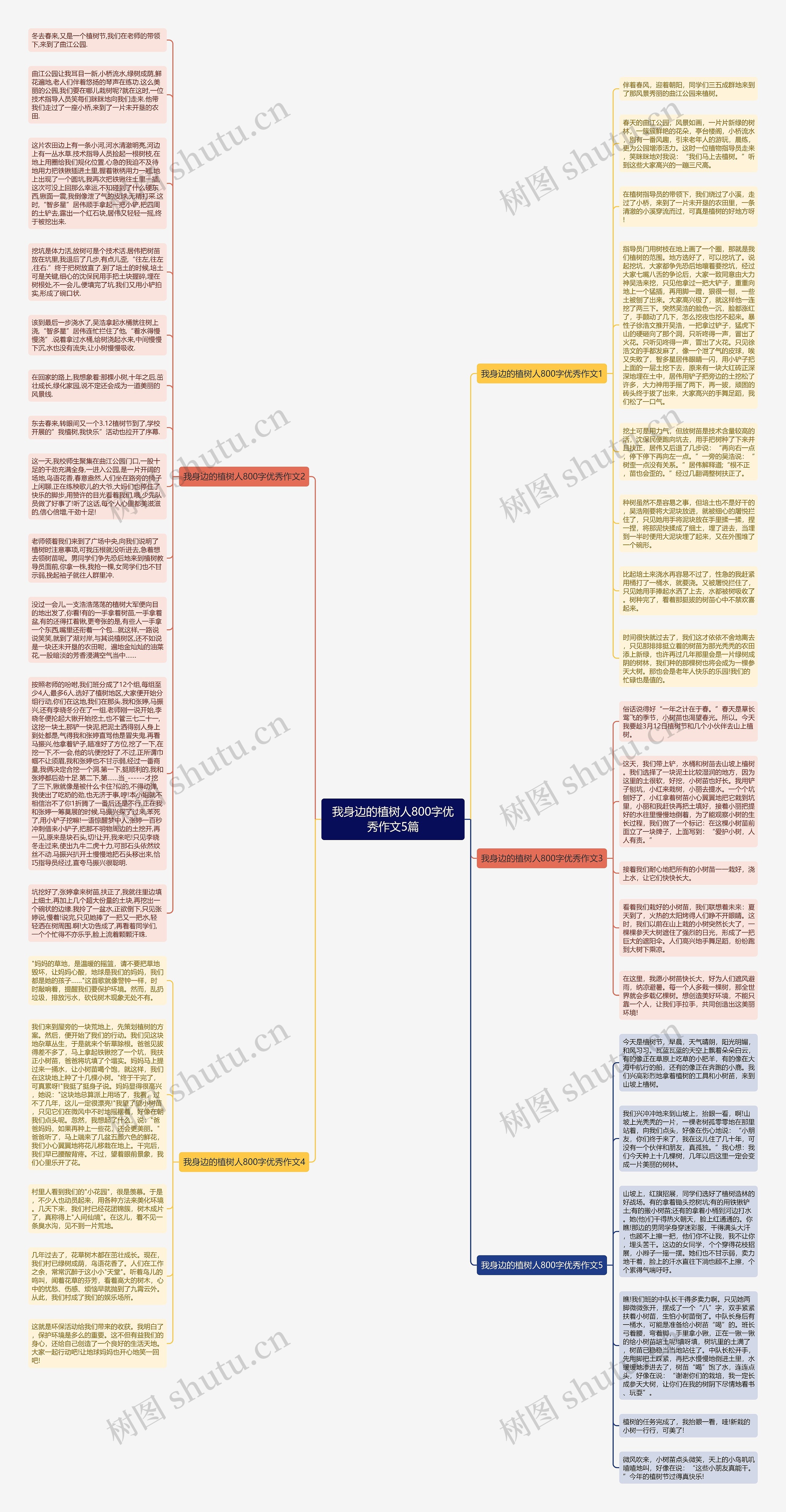我身边的植树人800字优秀作文5篇思维导图