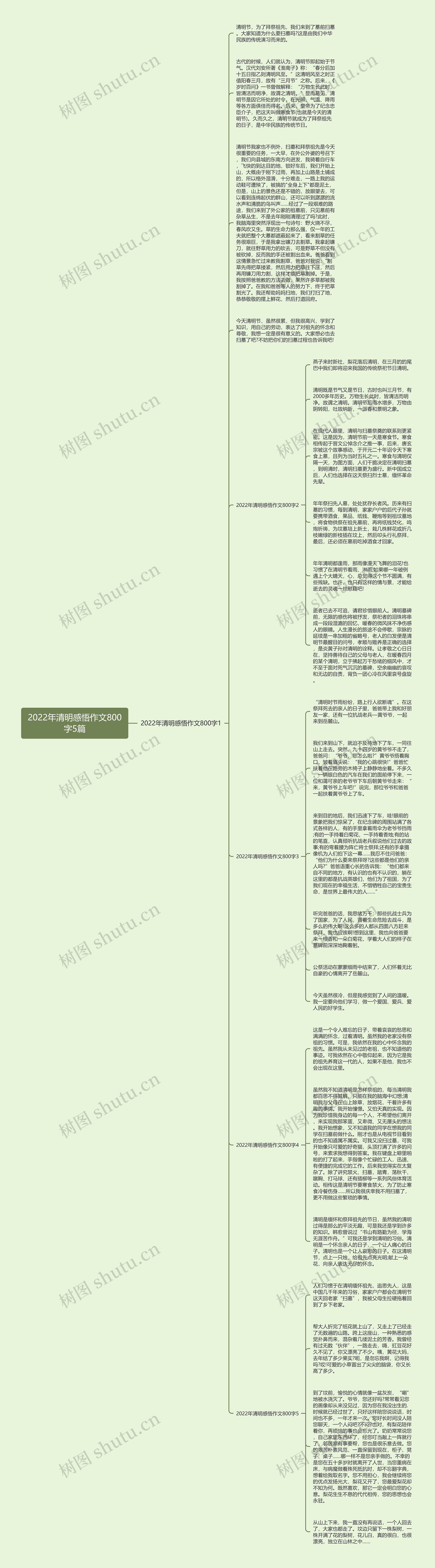 2022年清明感悟作文800字5篇思维导图