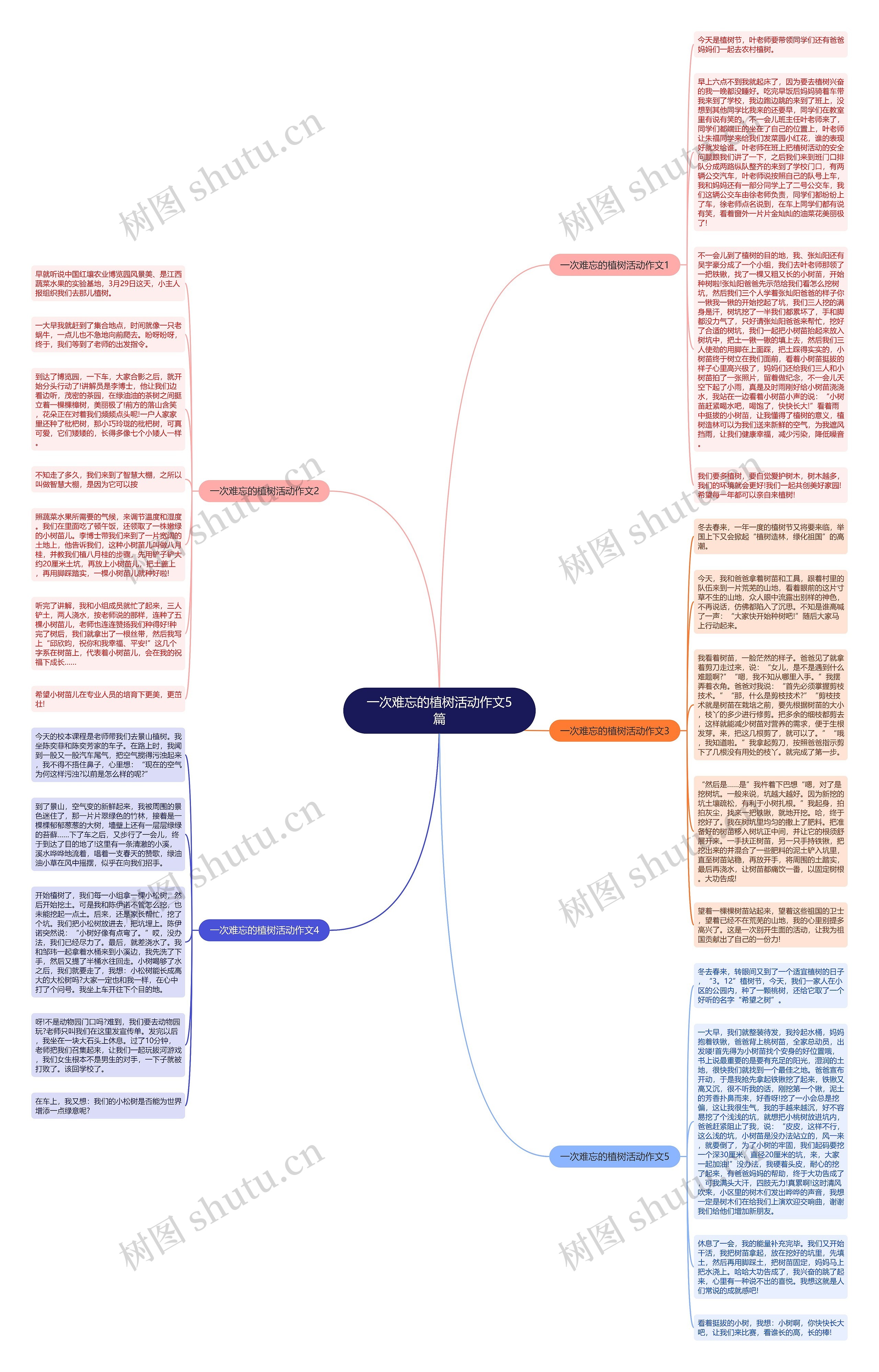 一次难忘的植树活动作文5篇思维导图