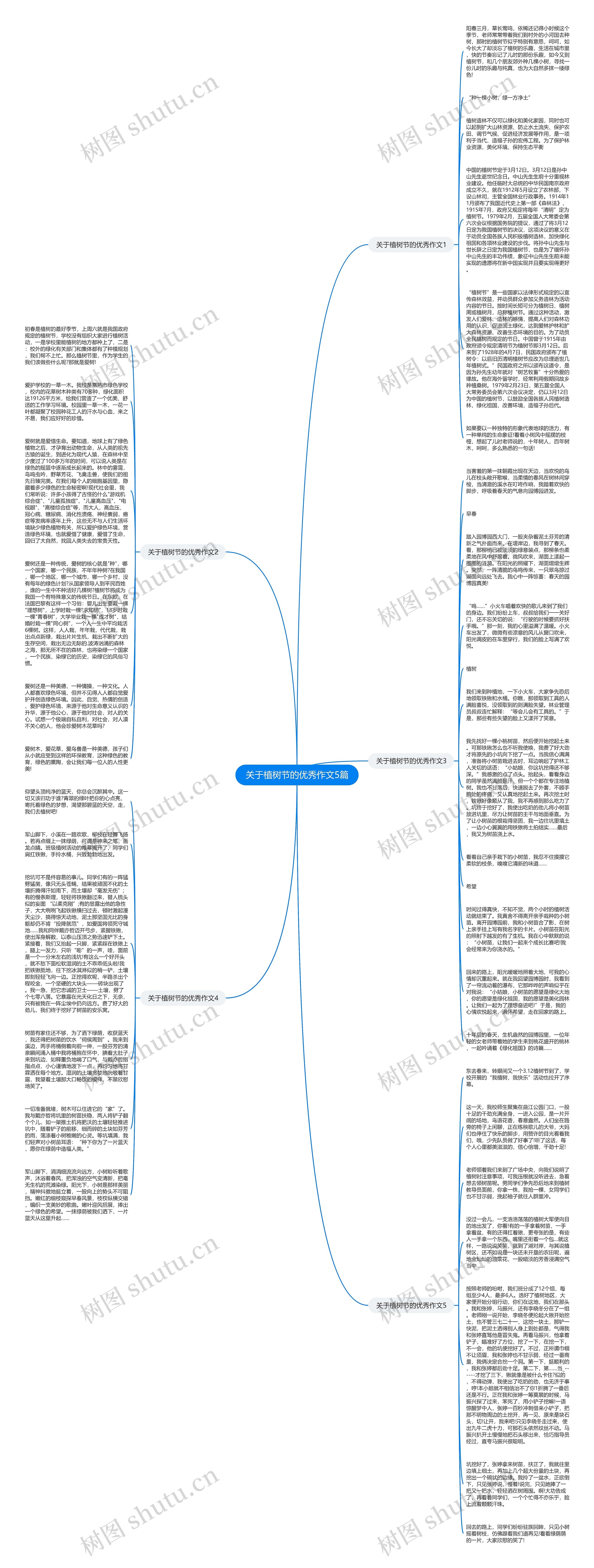 关于植树节的优秀作文5篇思维导图