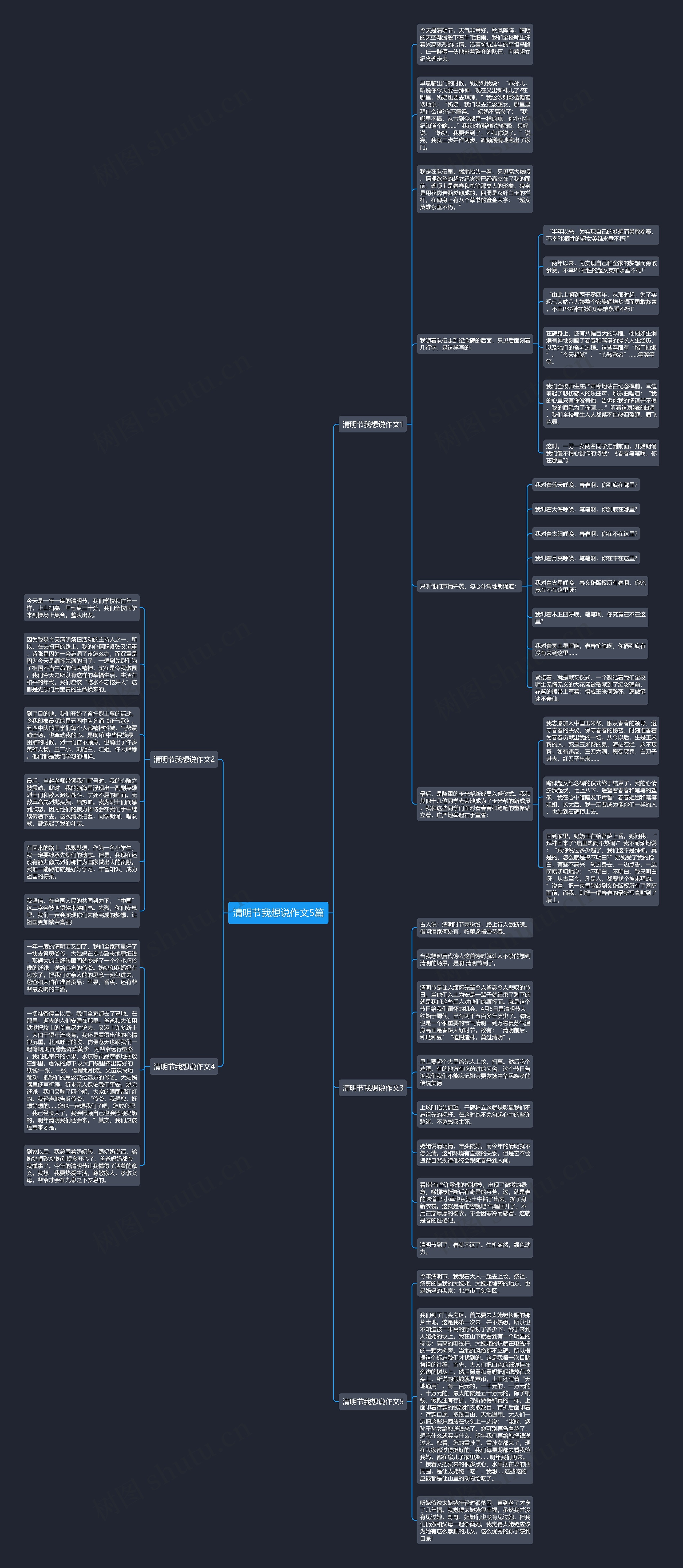 清明节我想说作文5篇思维导图