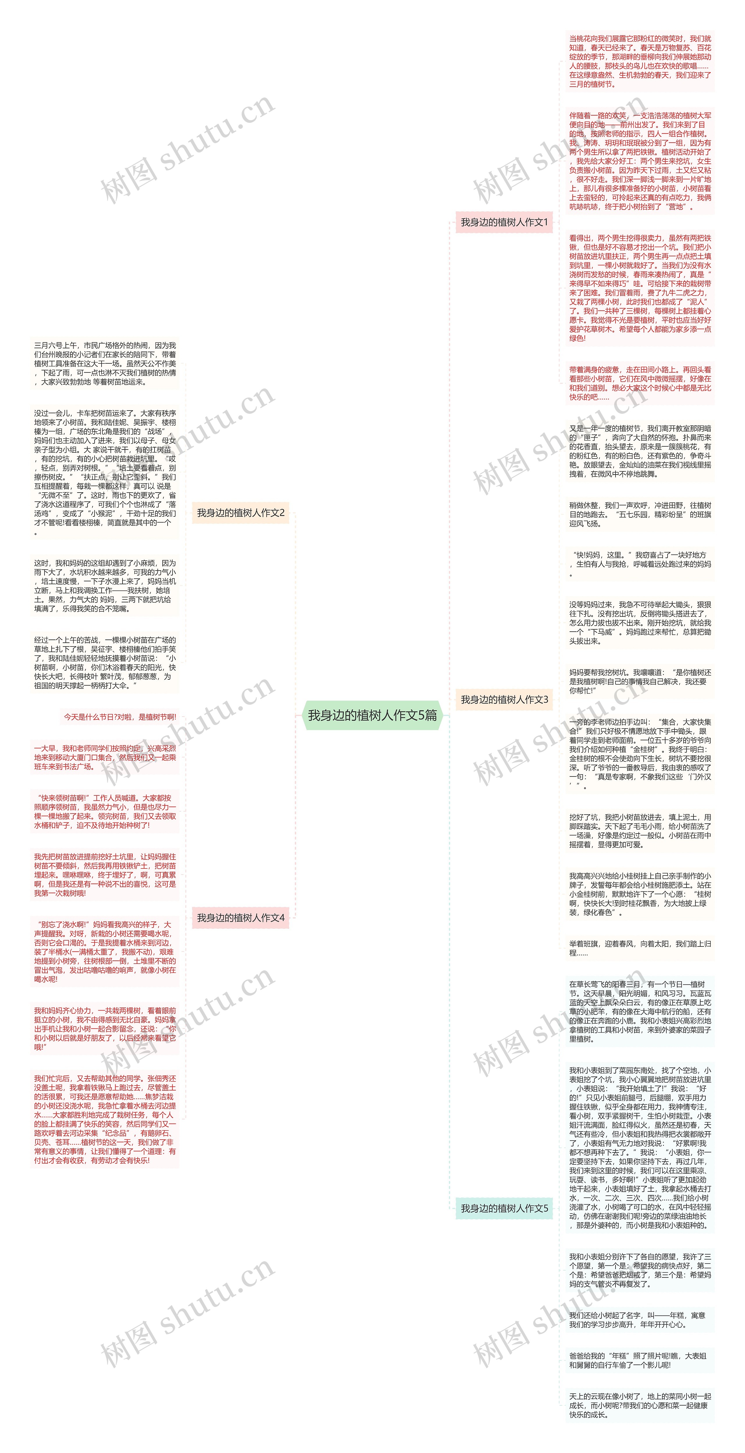 我身边的植树人作文5篇思维导图