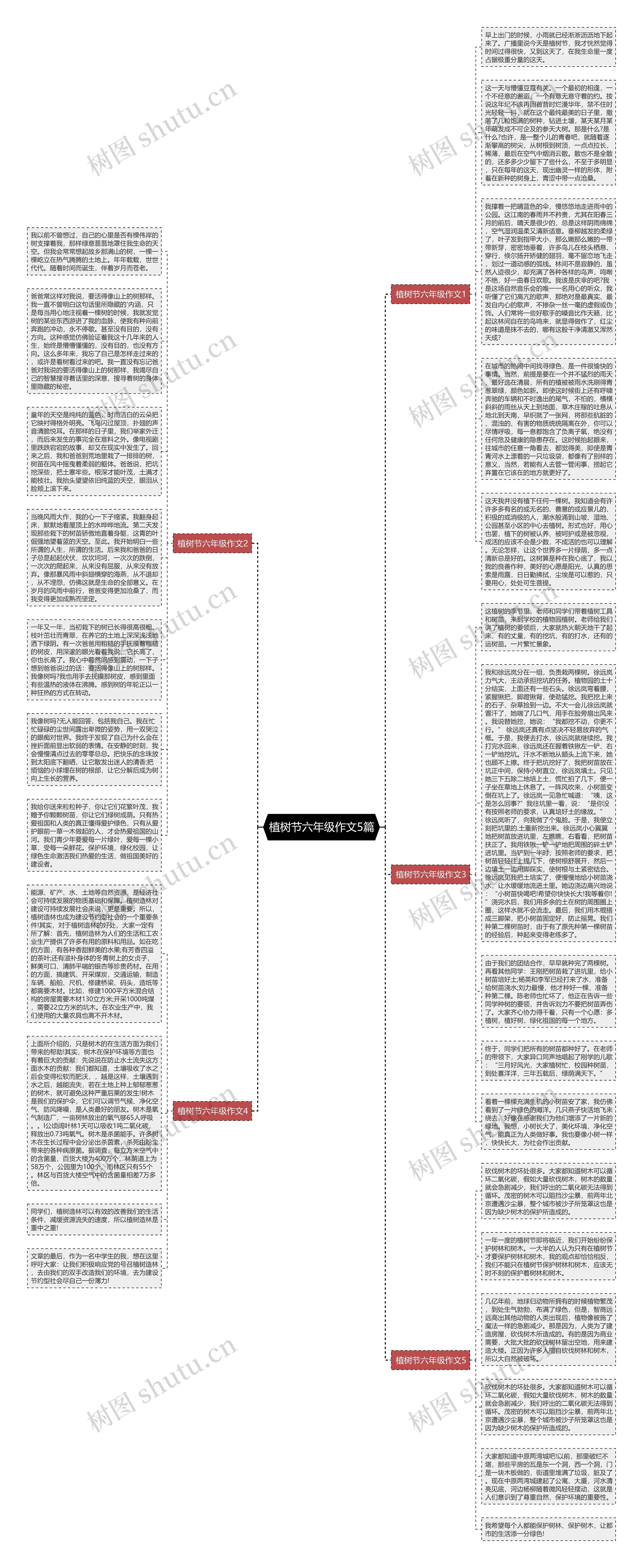 植树节六年级作文5篇思维导图