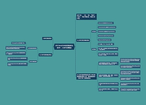 2023年6月英语四级语法指导：人称代词概说