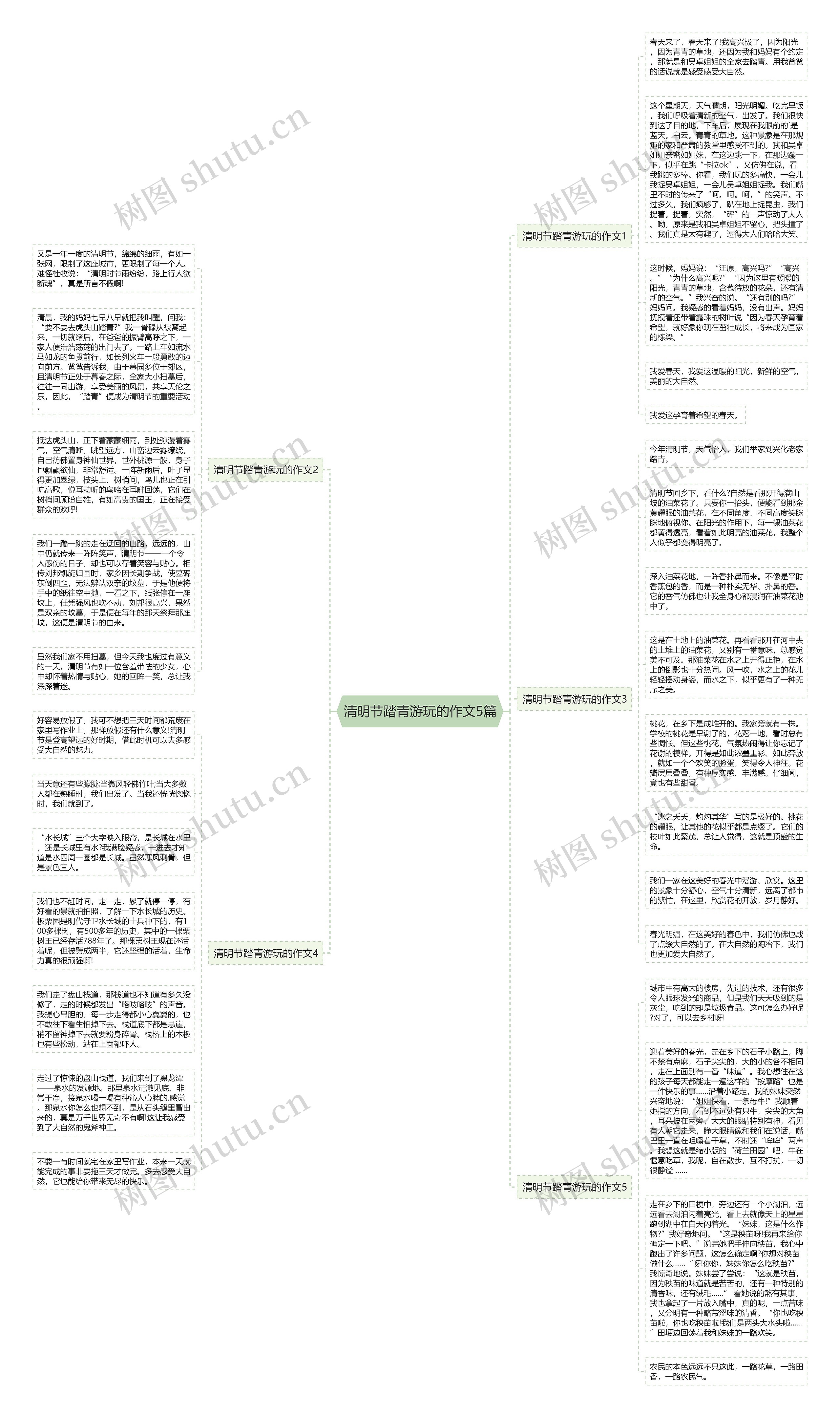 清明节踏青游玩的作文5篇思维导图