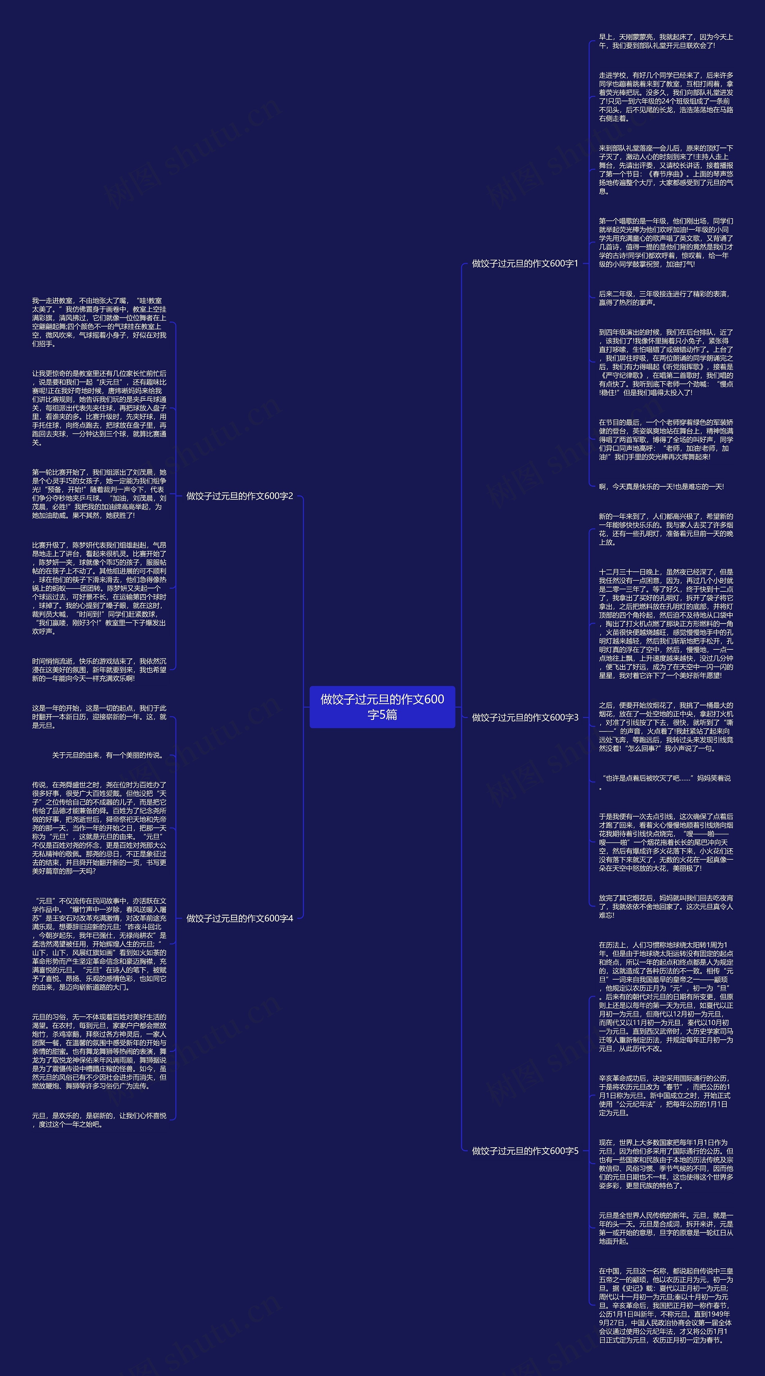 做饺子过元旦的作文600字5篇思维导图