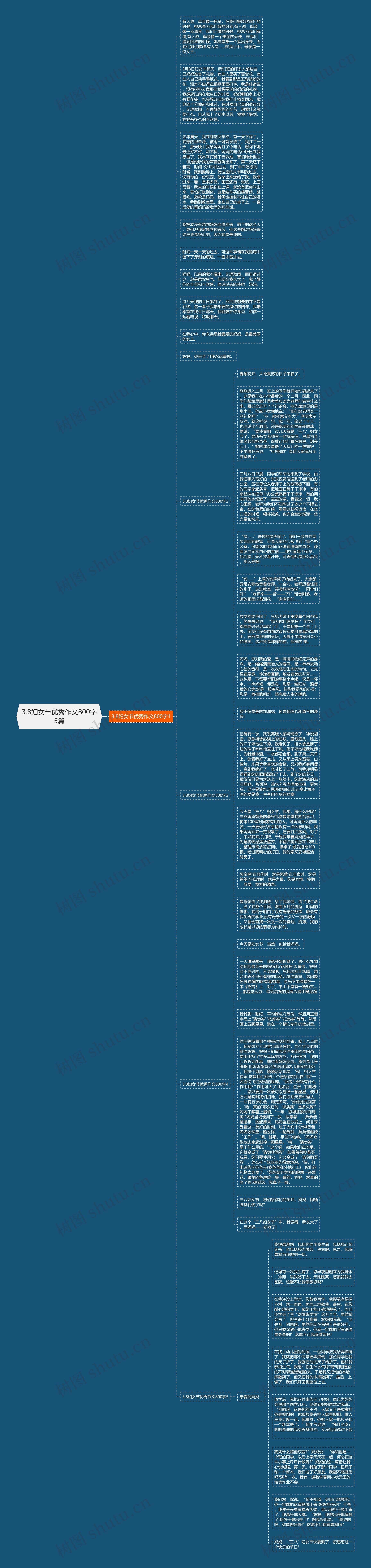 3.8妇女节优秀作文800字5篇思维导图
