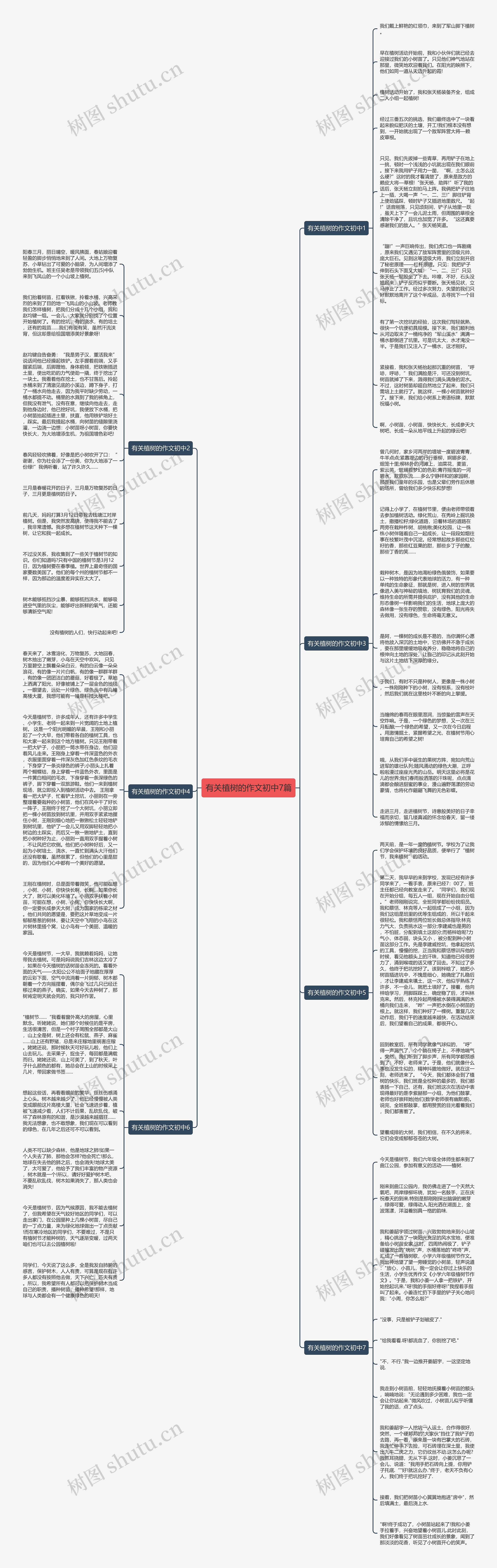 有关植树的作文初中7篇思维导图